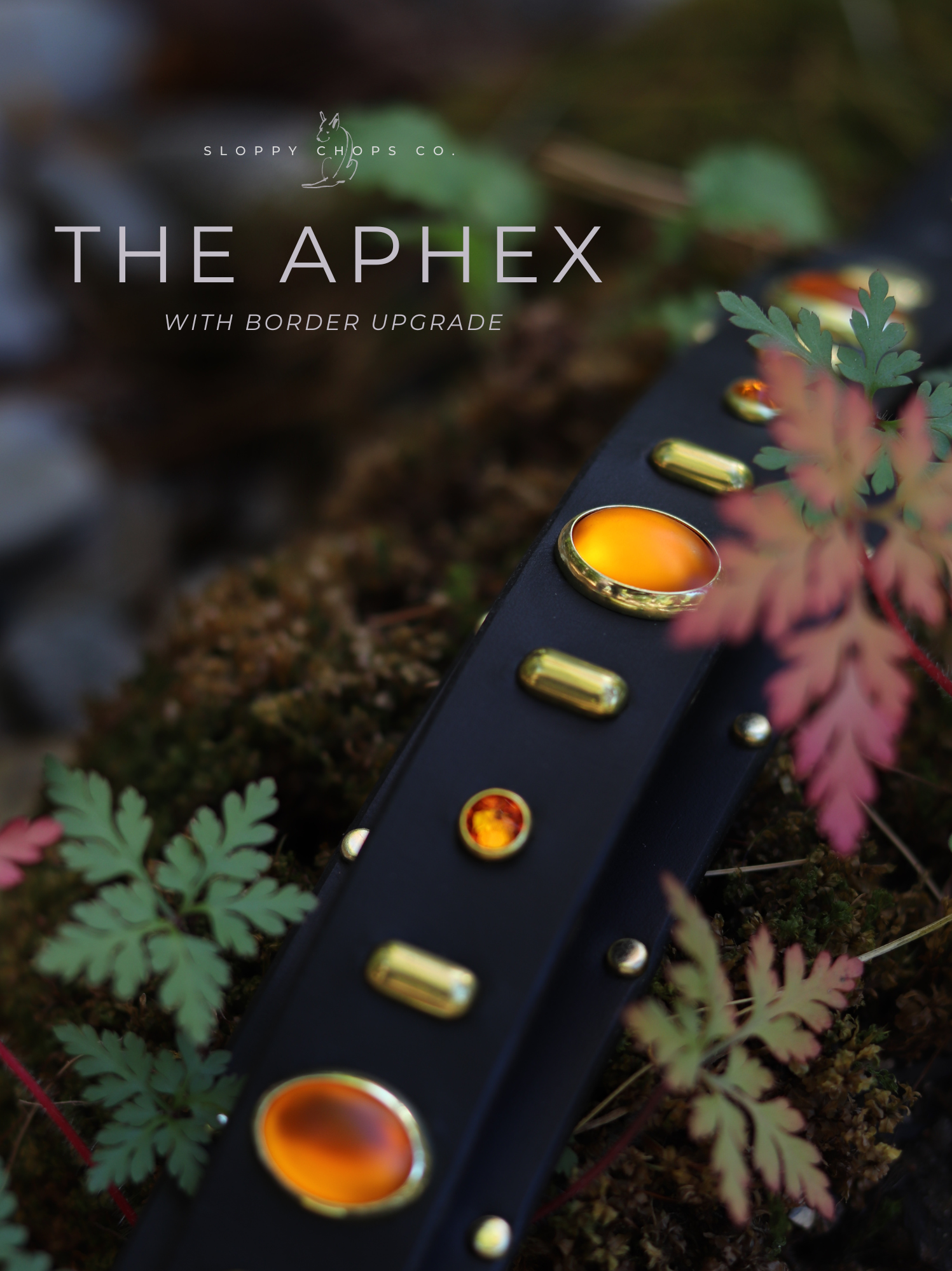 The 'Aphex' Leather Collar (1