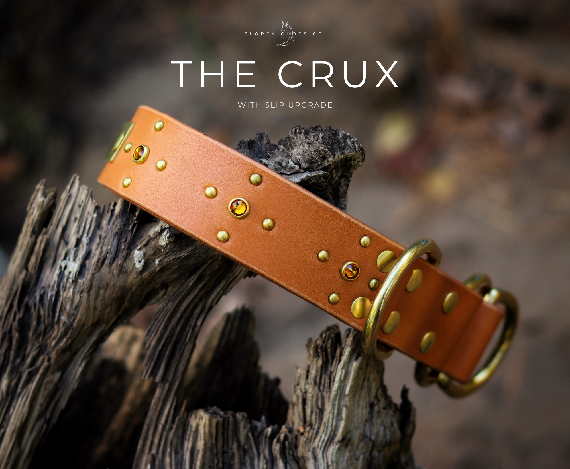 The 'Crux' Leather Collar (1.5