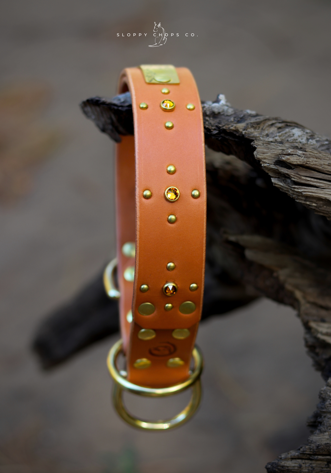 The 'Crux' Leather Collar (1.5