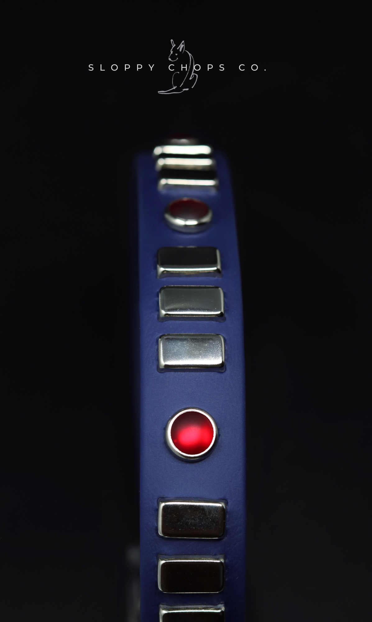 The 'Dazzle' Collar