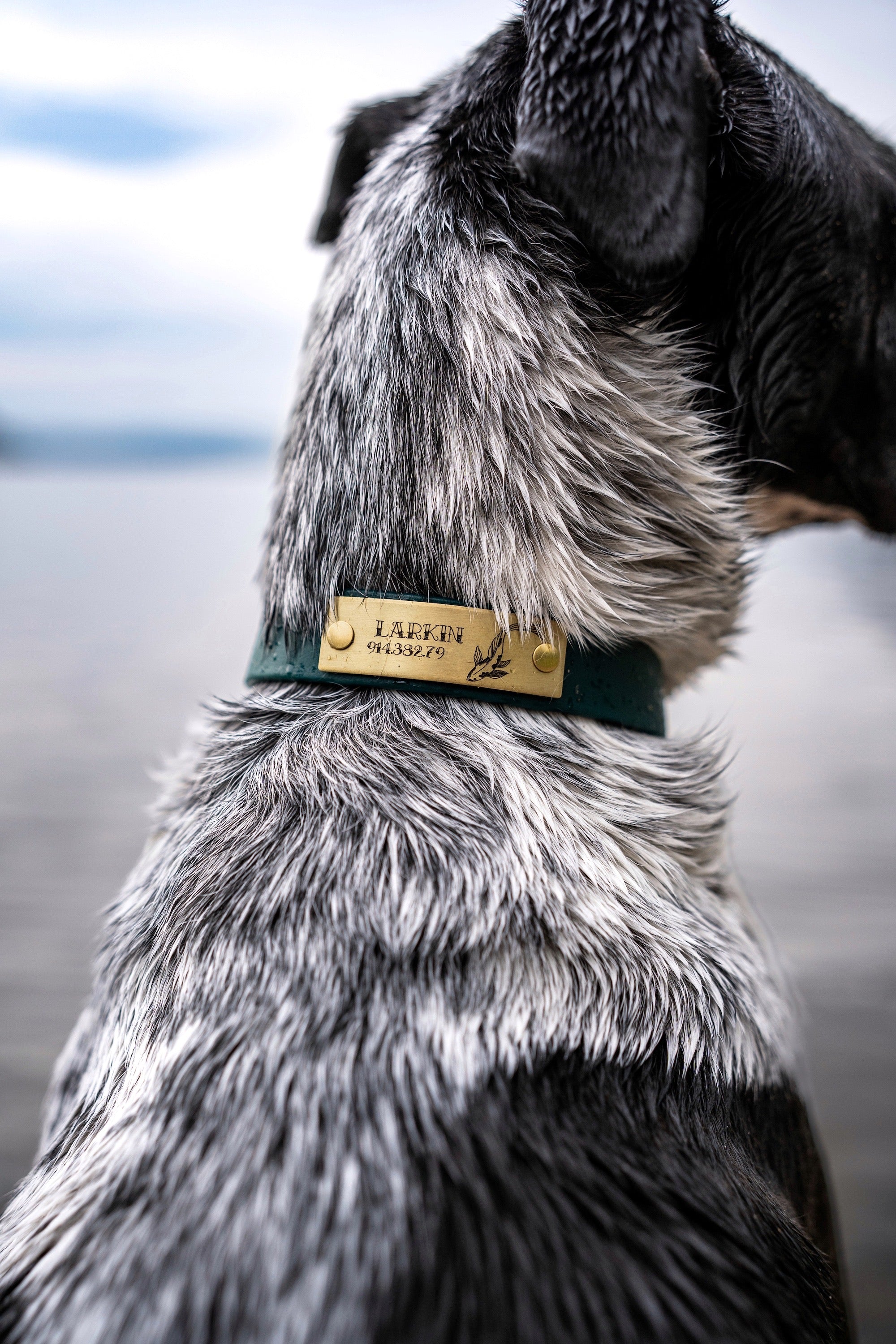 Designer Rivet-On Tag