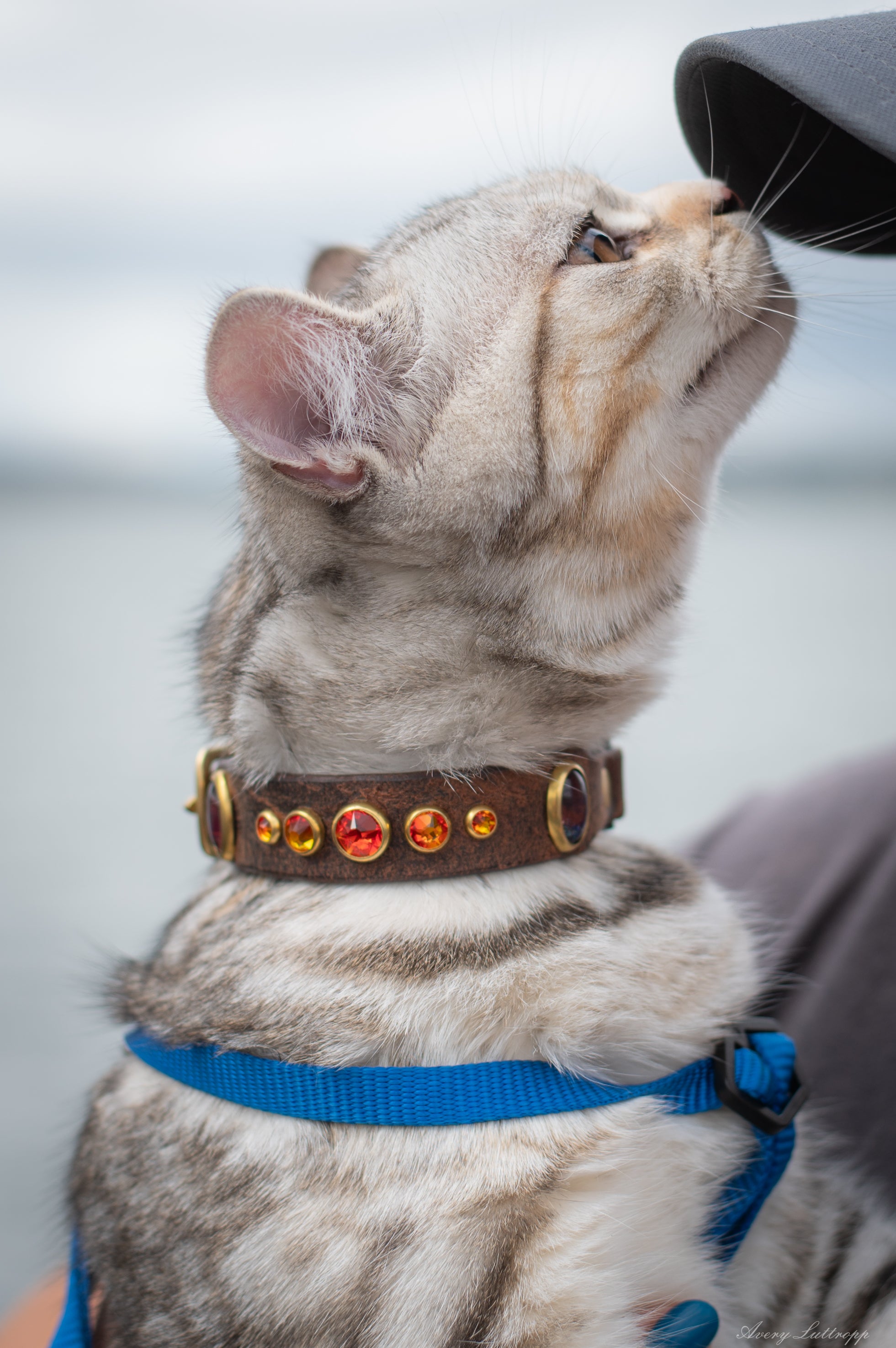 The 'Mini Bodhi' Leather Collar (3/4
