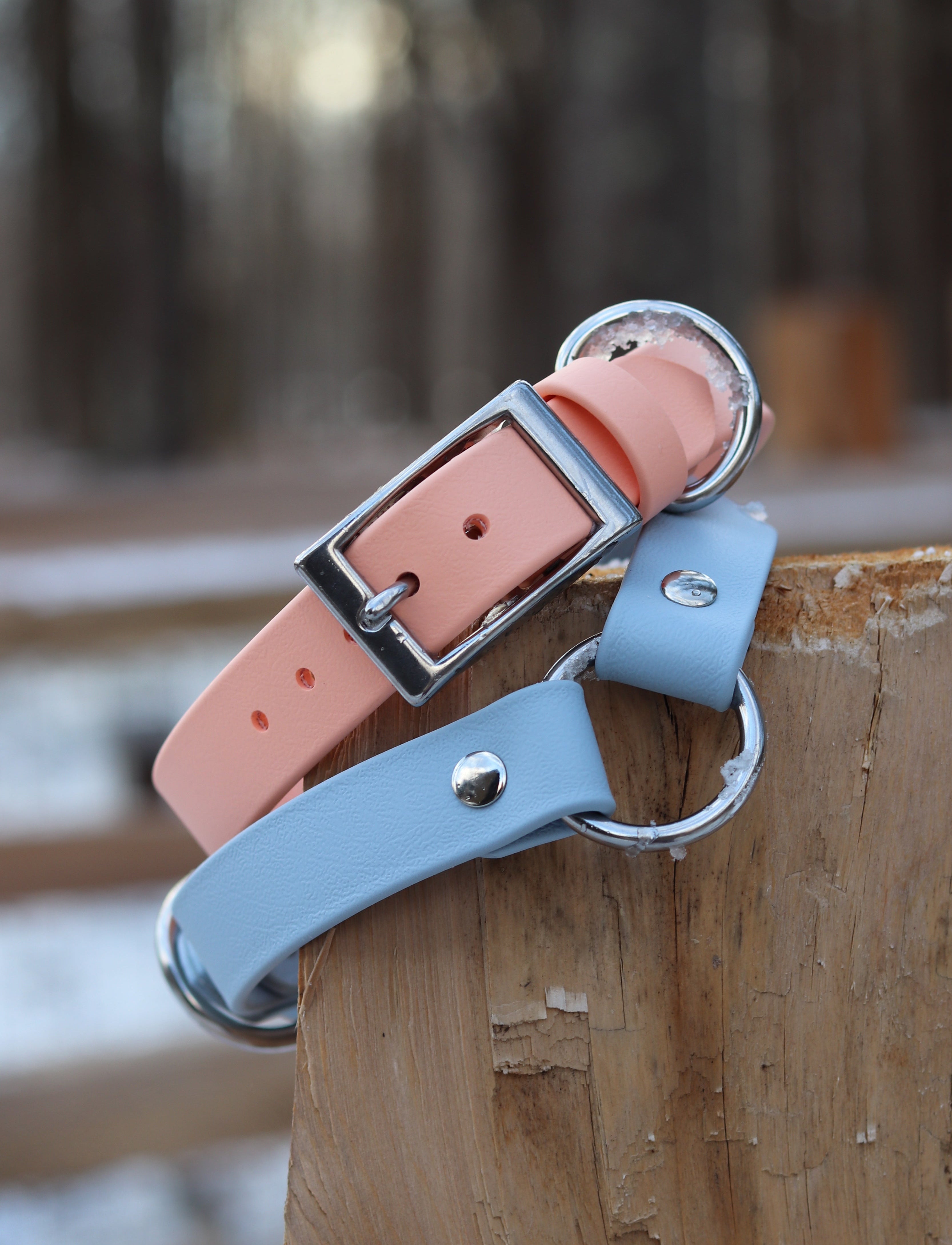 Denali Center Ring Collar