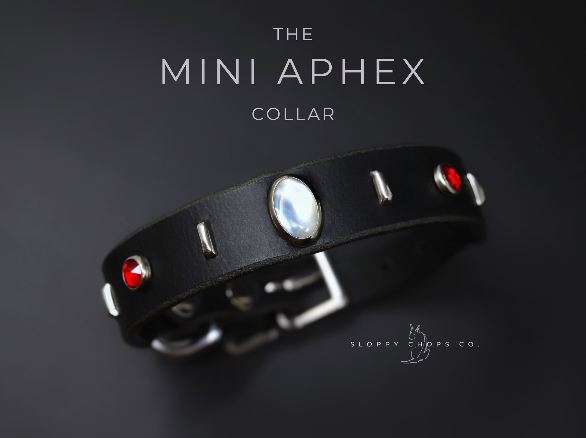The 'Mini Aphex' Leather Collar (3/4