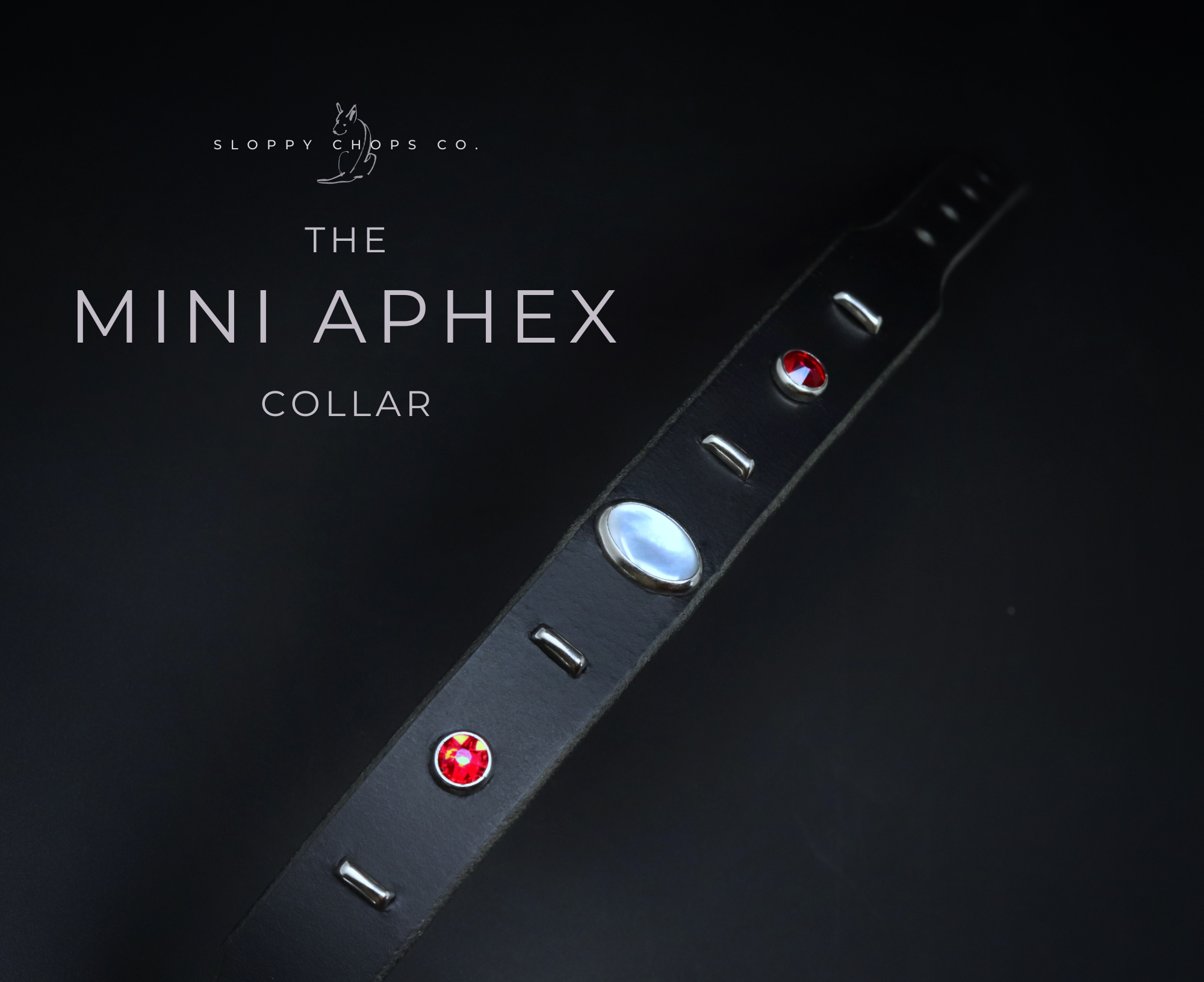 The 'Mini Aphex' Leather Collar (3/4