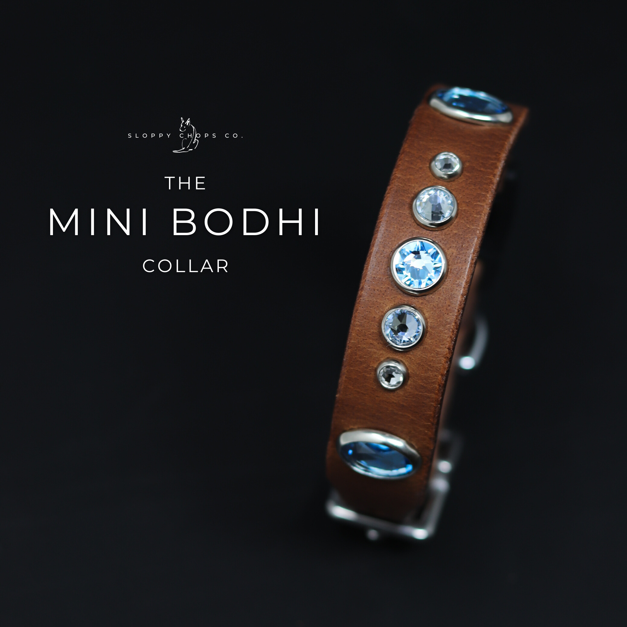 The 'Mini Bodhi' Leather Collar (3/4