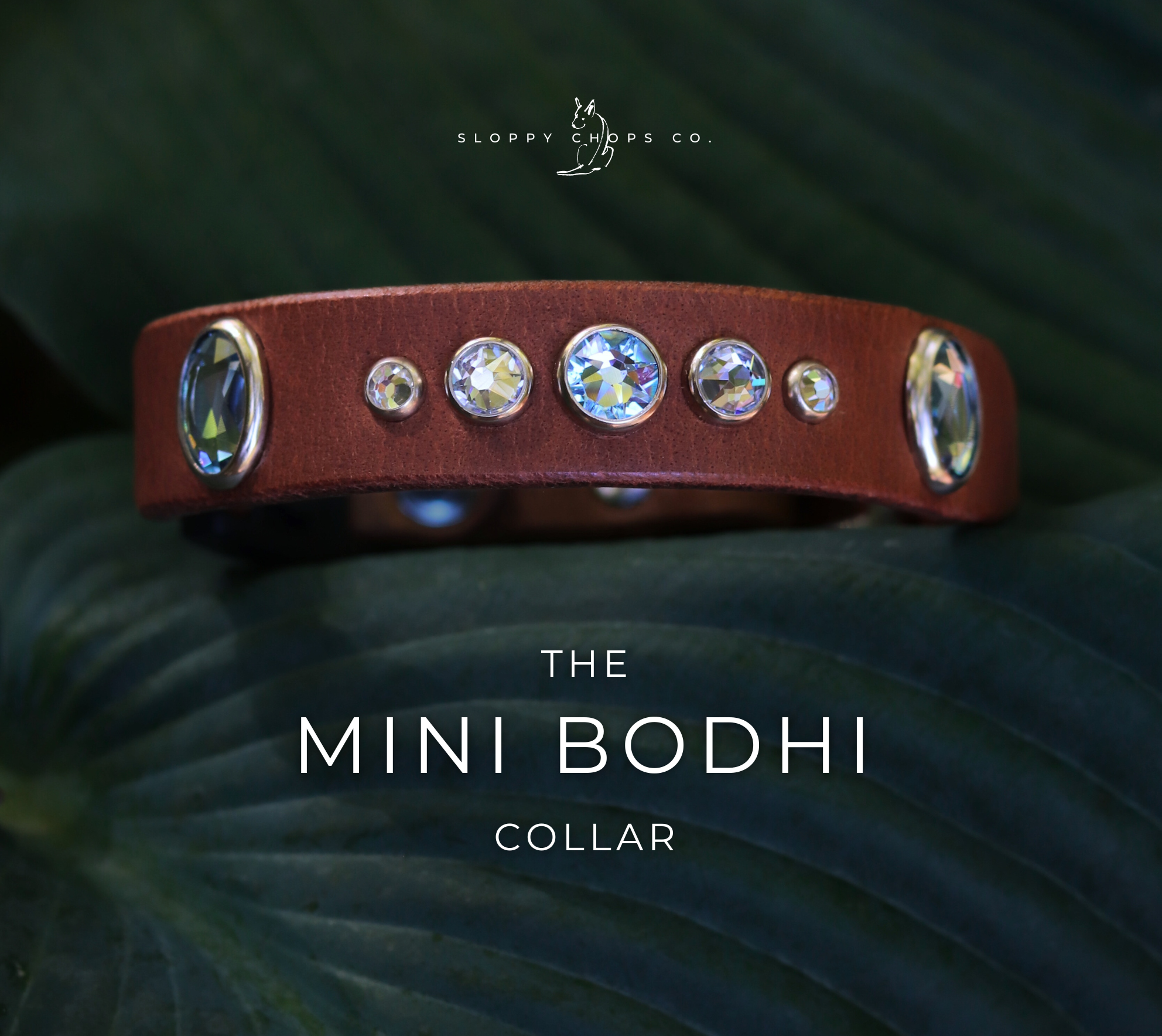 The 'Mini Bodhi' Leather Collar (3/4