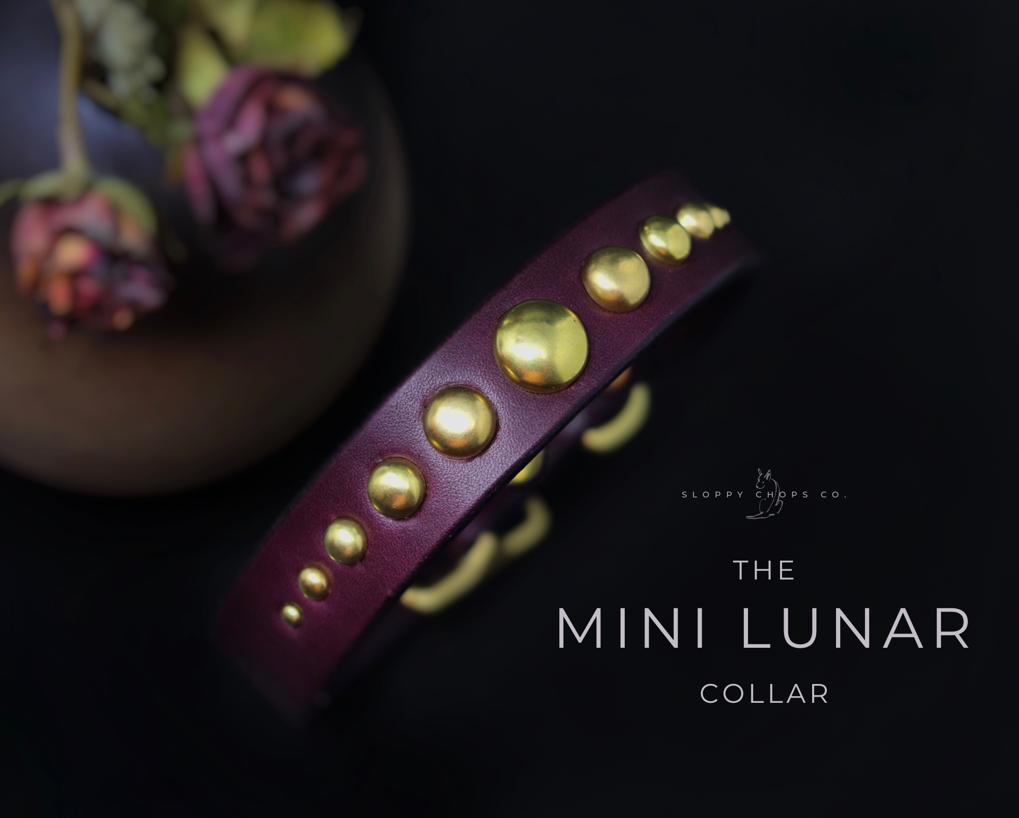 The 'Mini Lunar' Leather Collar (3/4