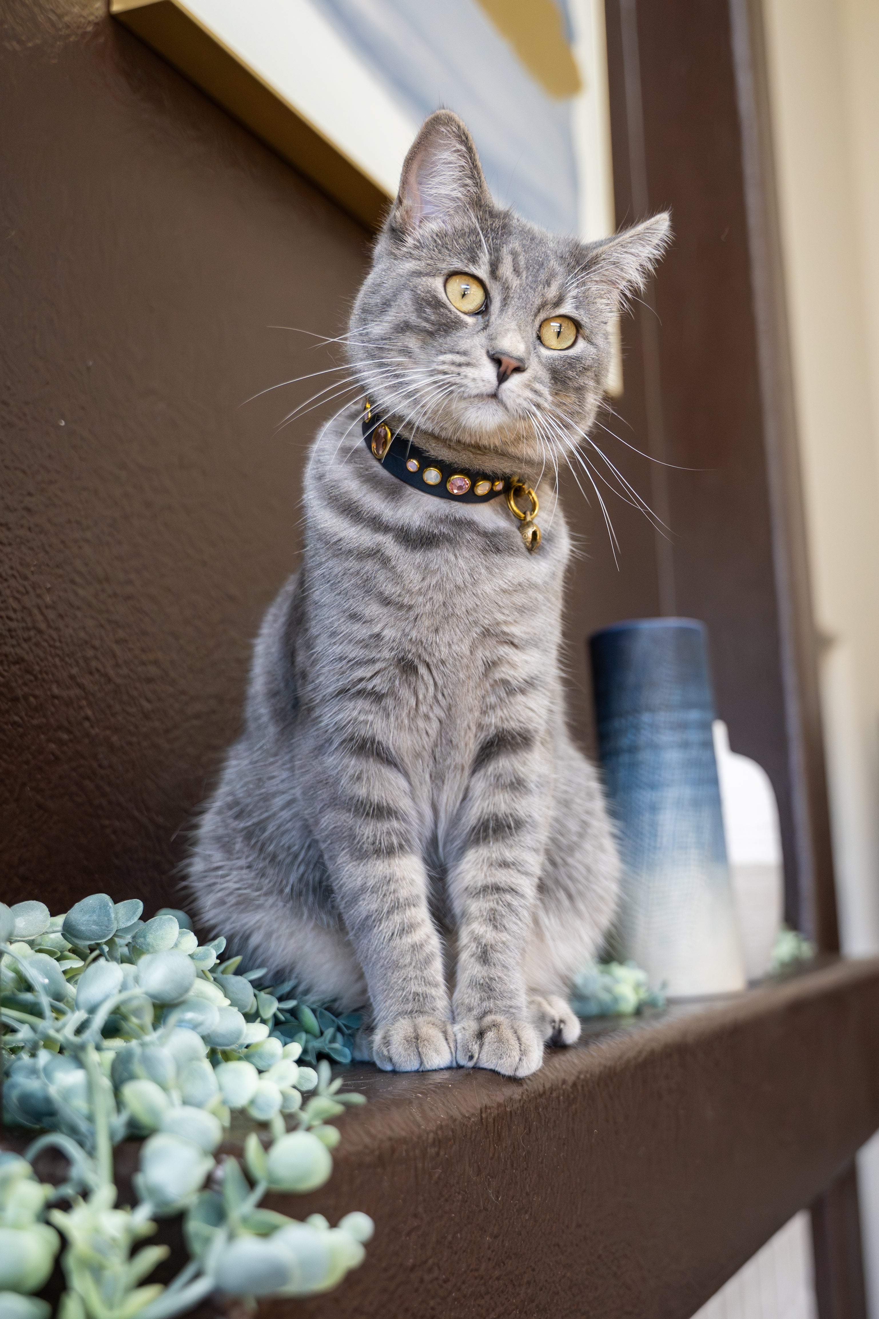 The 'Mini Bodhi' Leather Collar (3/4