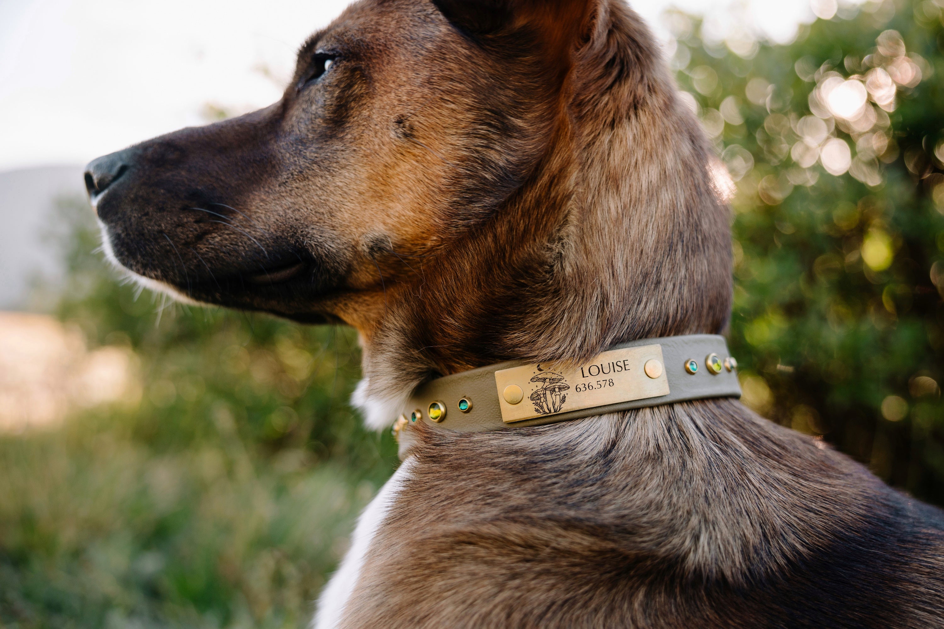 Designer Rivet-On Tag