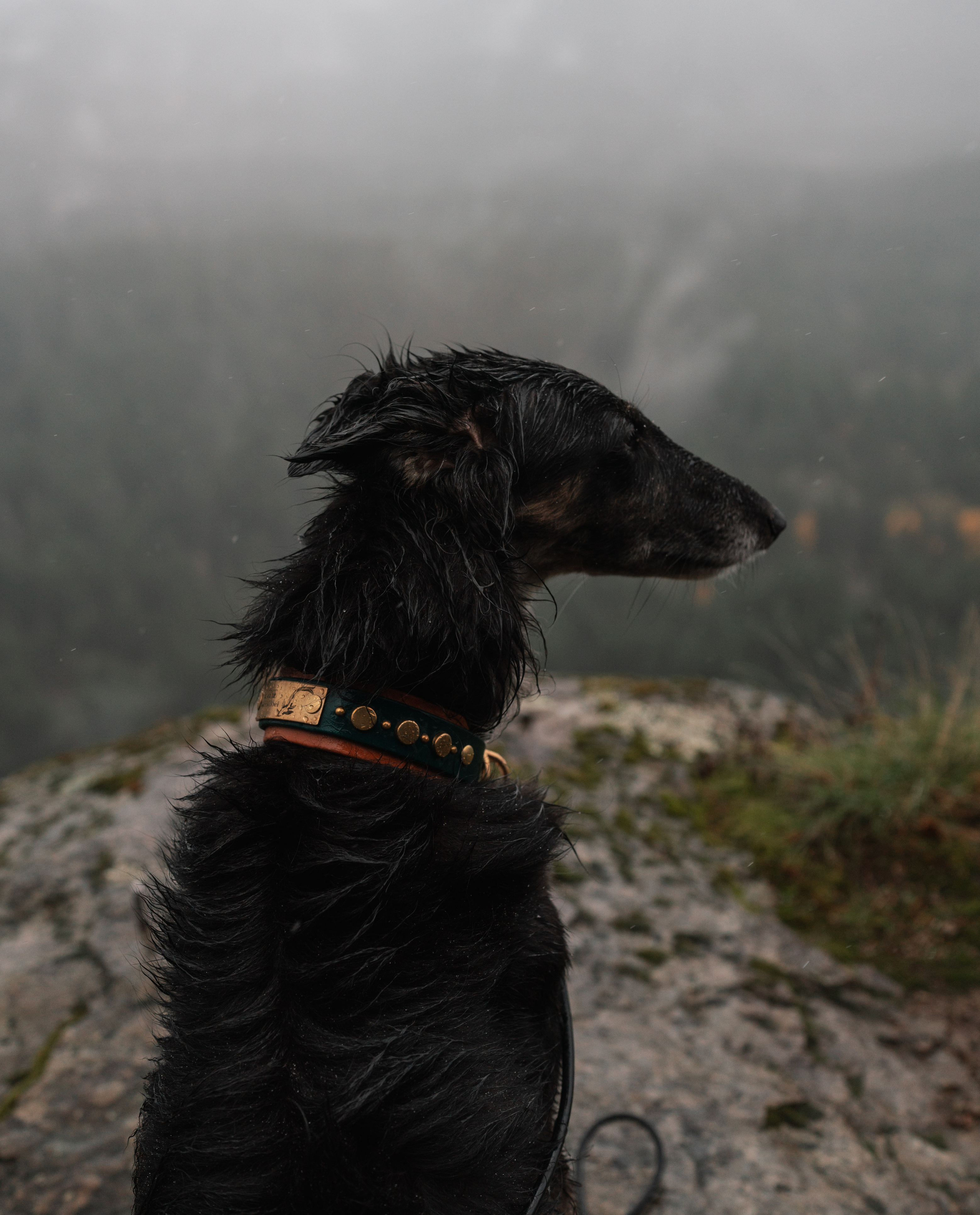 The 'Ophelia' Collar