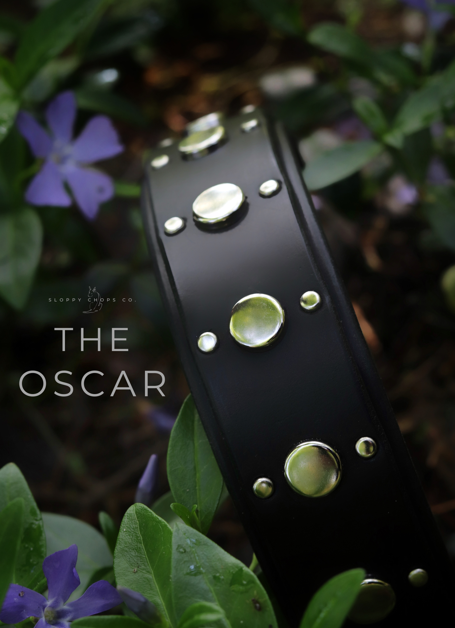 The 'Oscar' Leather Collar (1.25