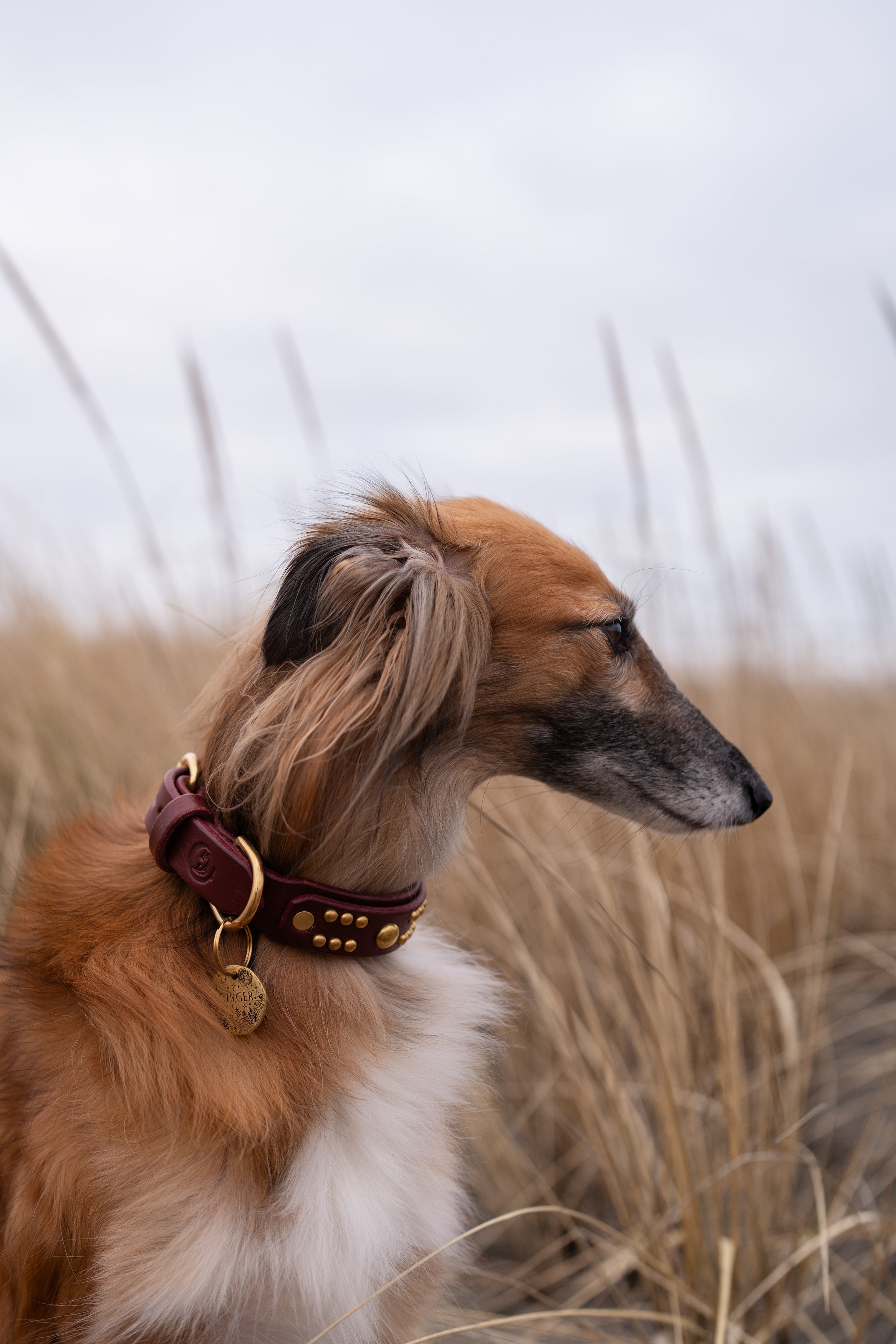 The 'Creature' Leather Collar (1