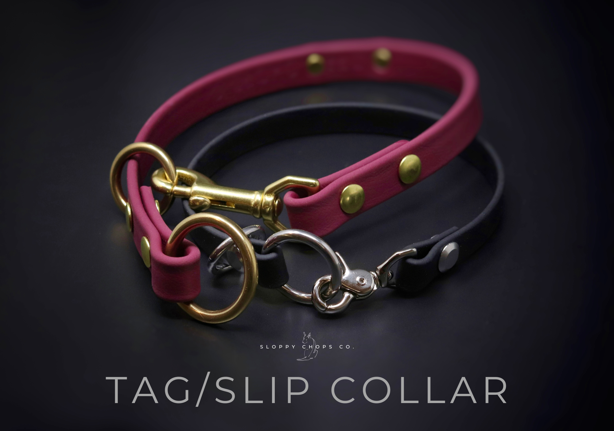 BioThane® Tag/Slip Combination Collar