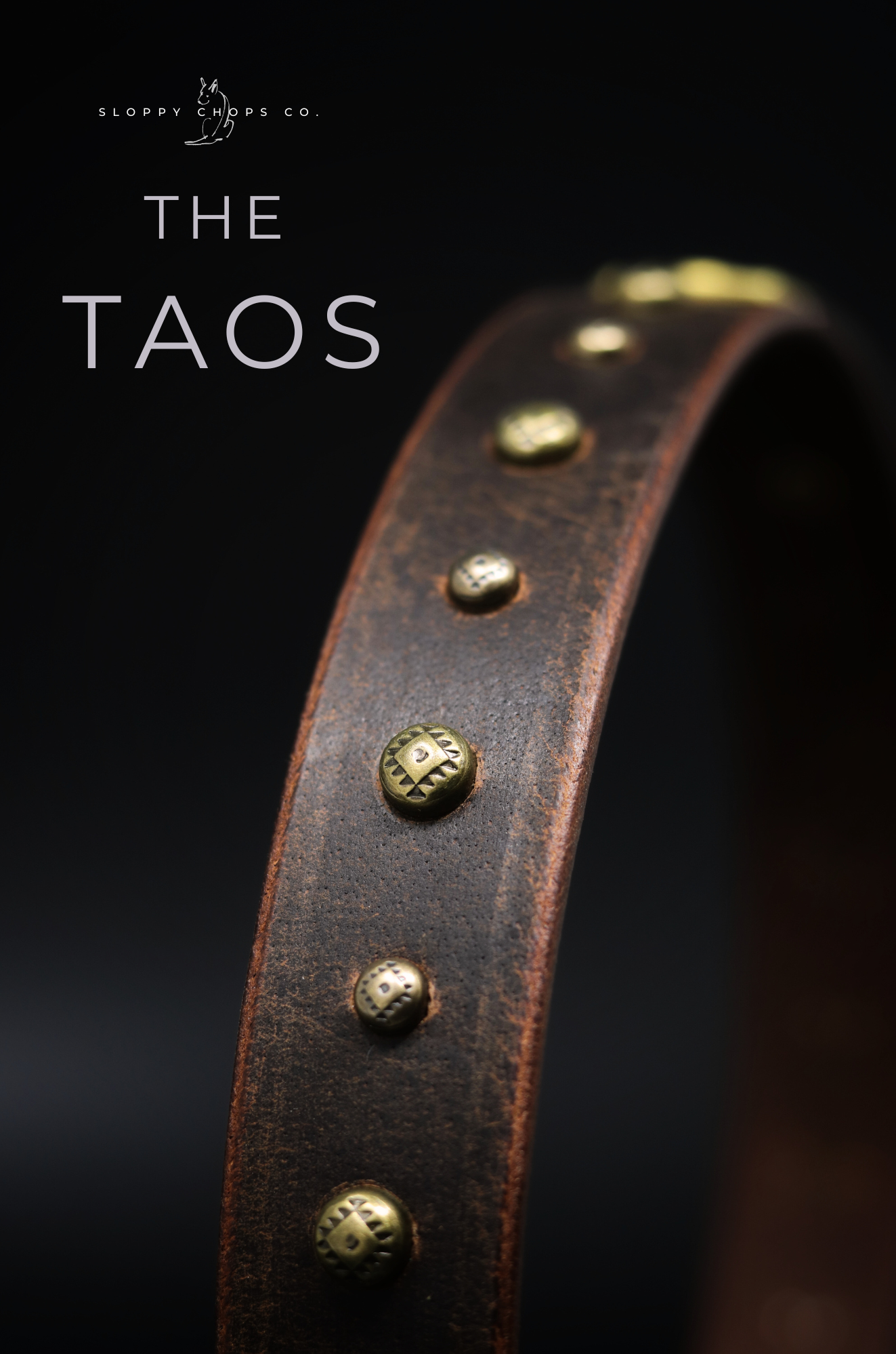 The 'Taos' Leather Collar (1