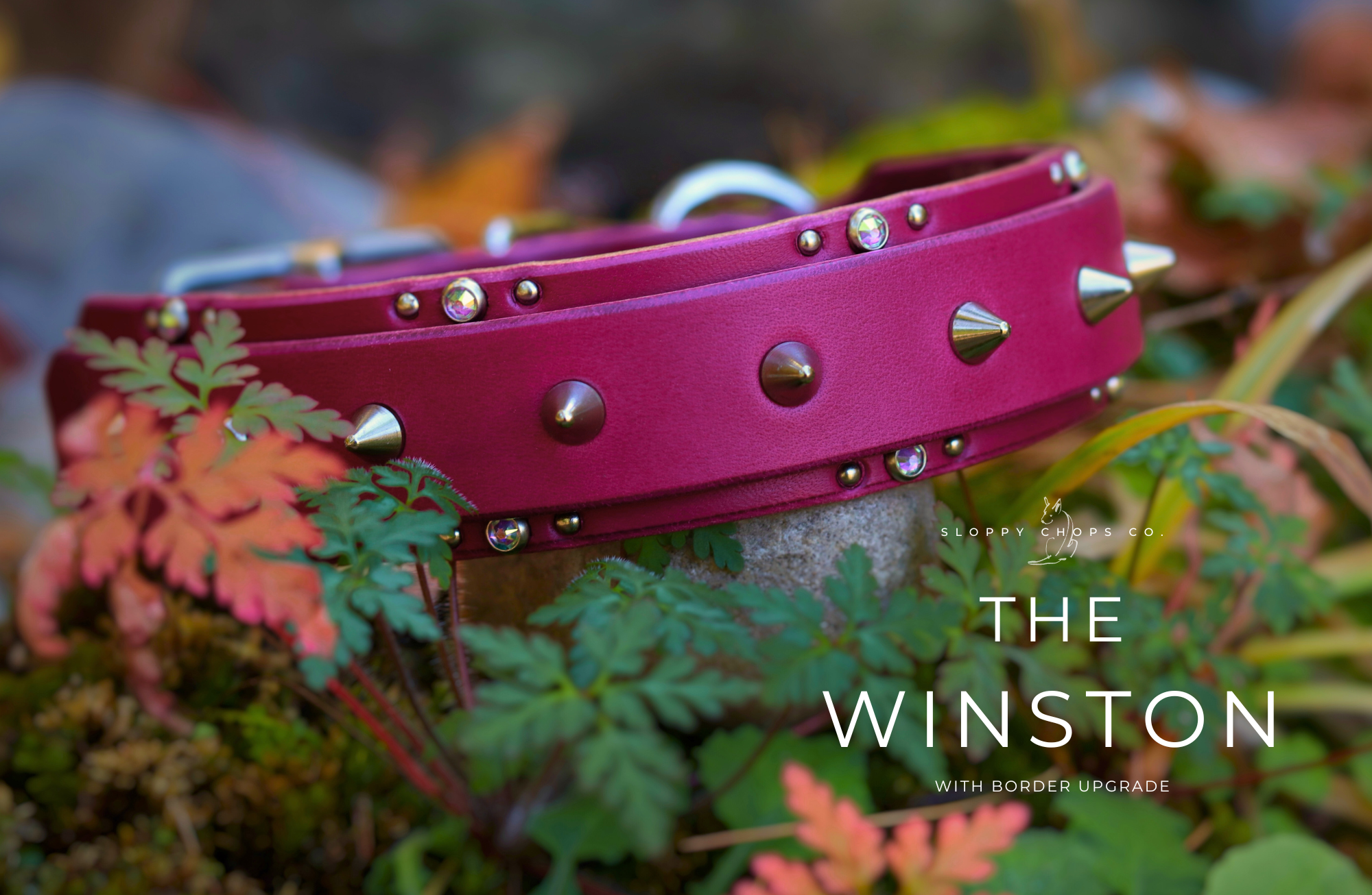 The 'Winston' Leather Collar (1