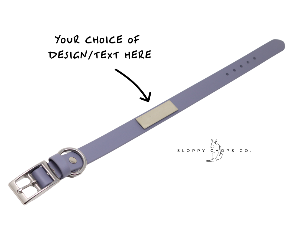 Classic Buckle Collar with Rivet-on Tag (14-16