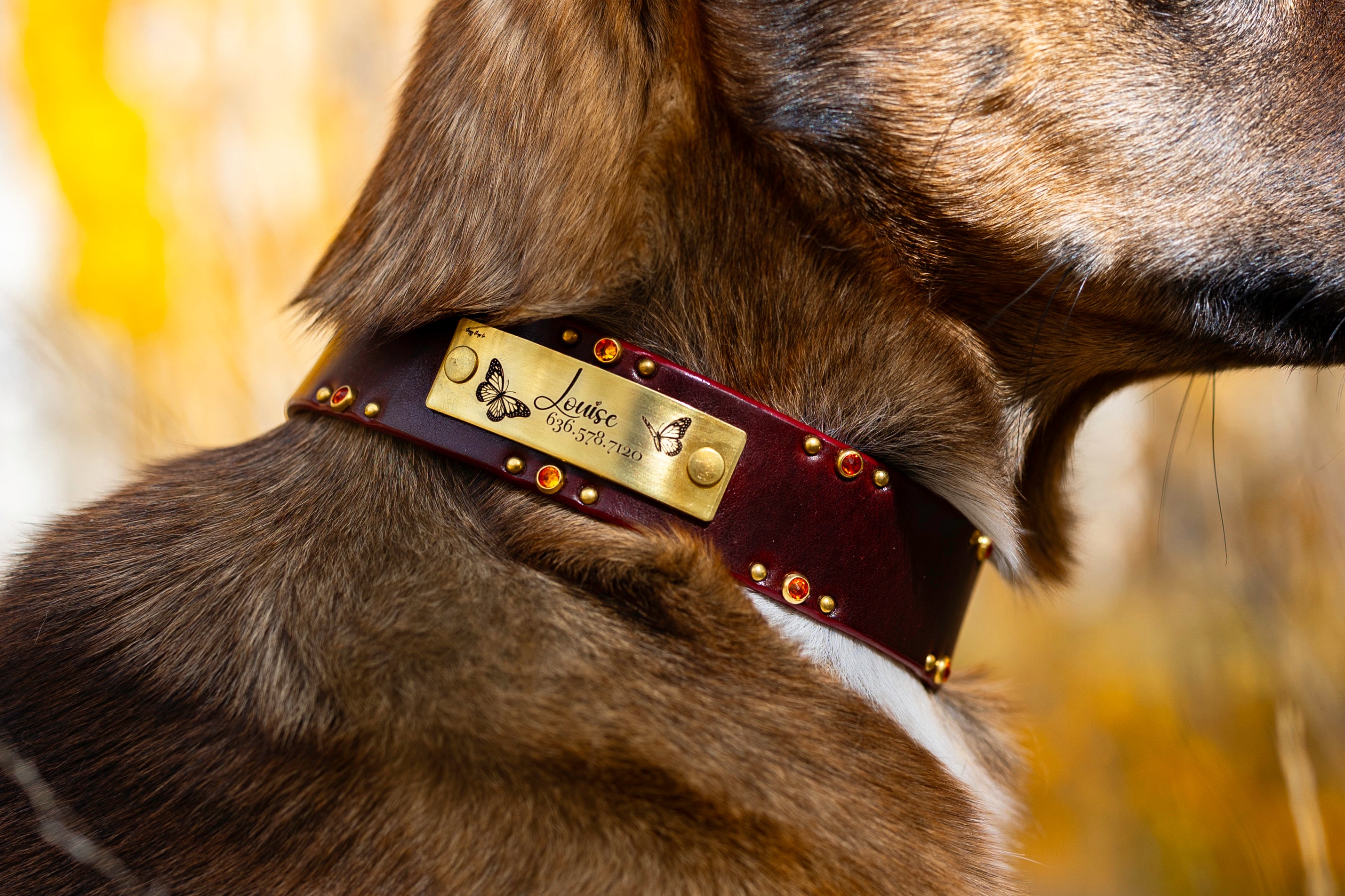 Designer Rivet-On Tag