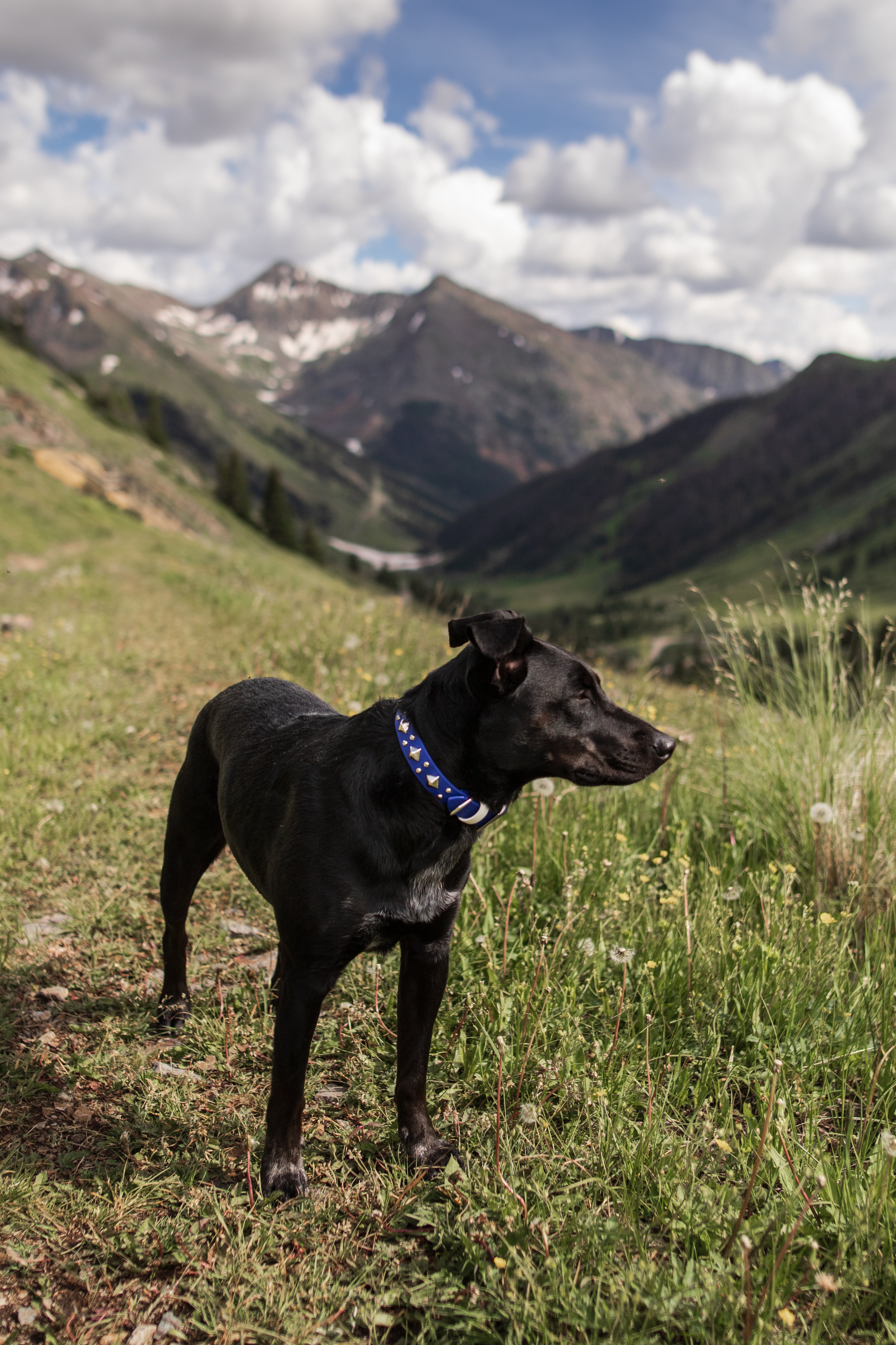The 'Glacial Diamond' Collar