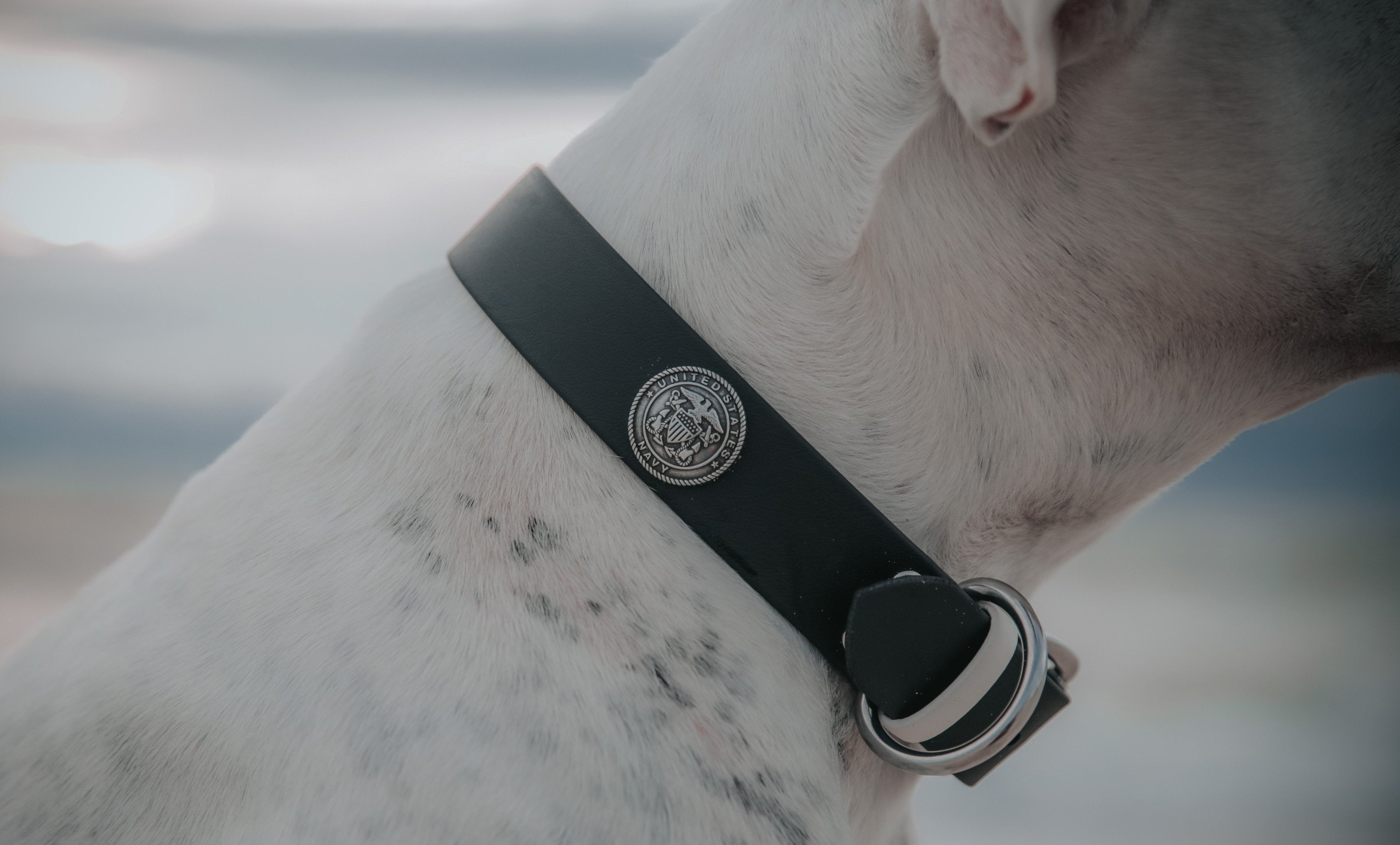 Military / First Responder Collar