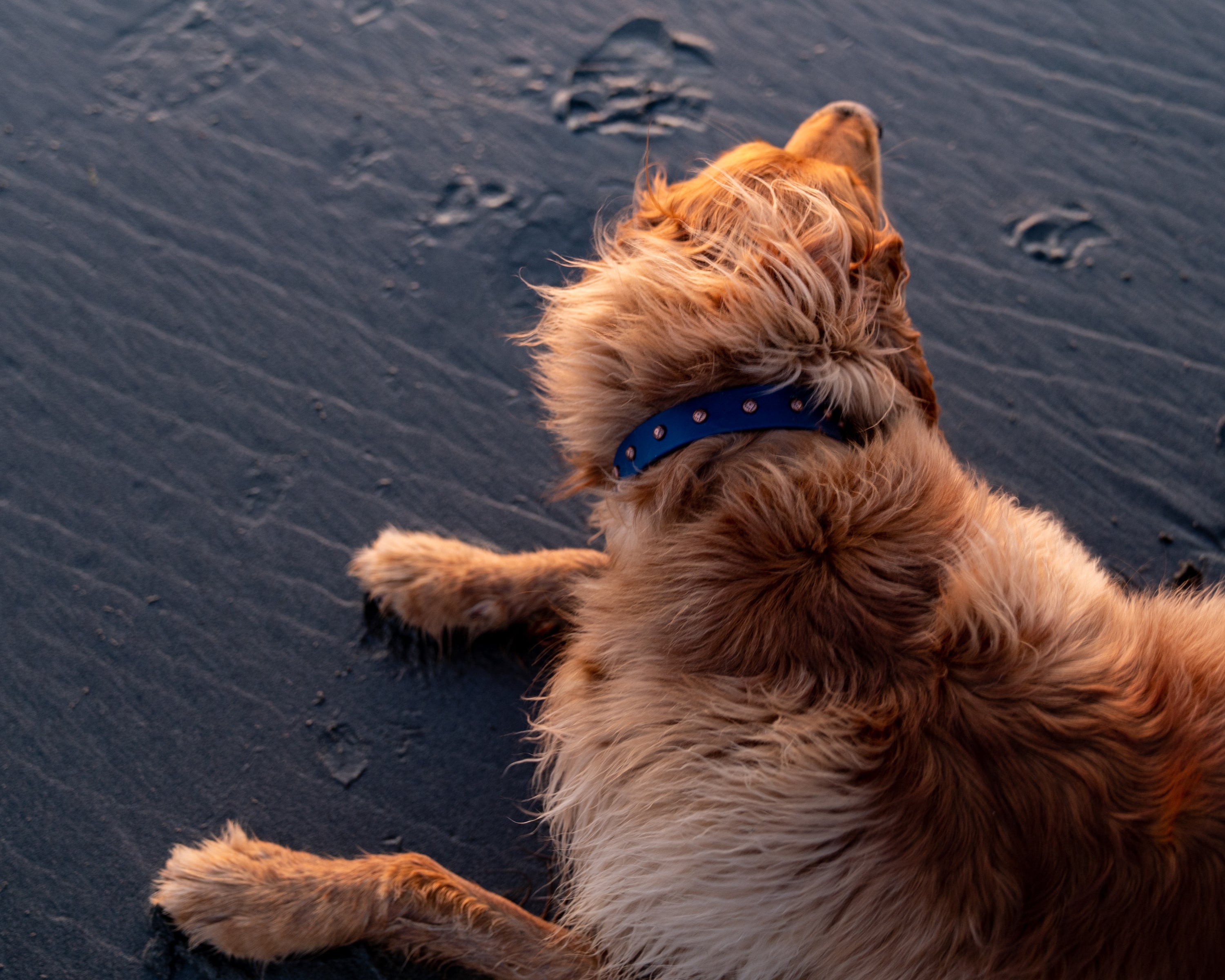 The 'Taos' Collar