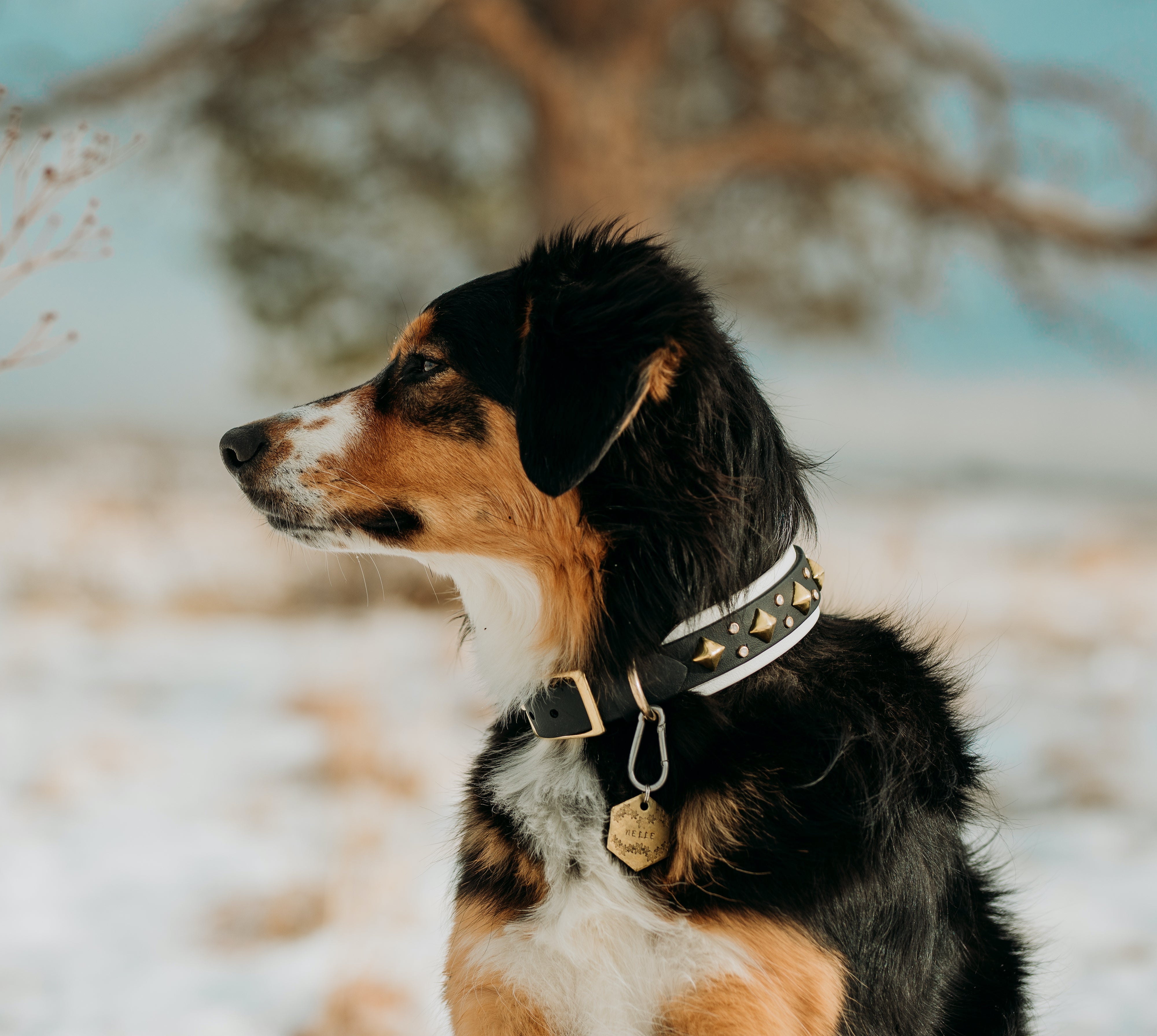 The 'Glacial Diamond' Collar