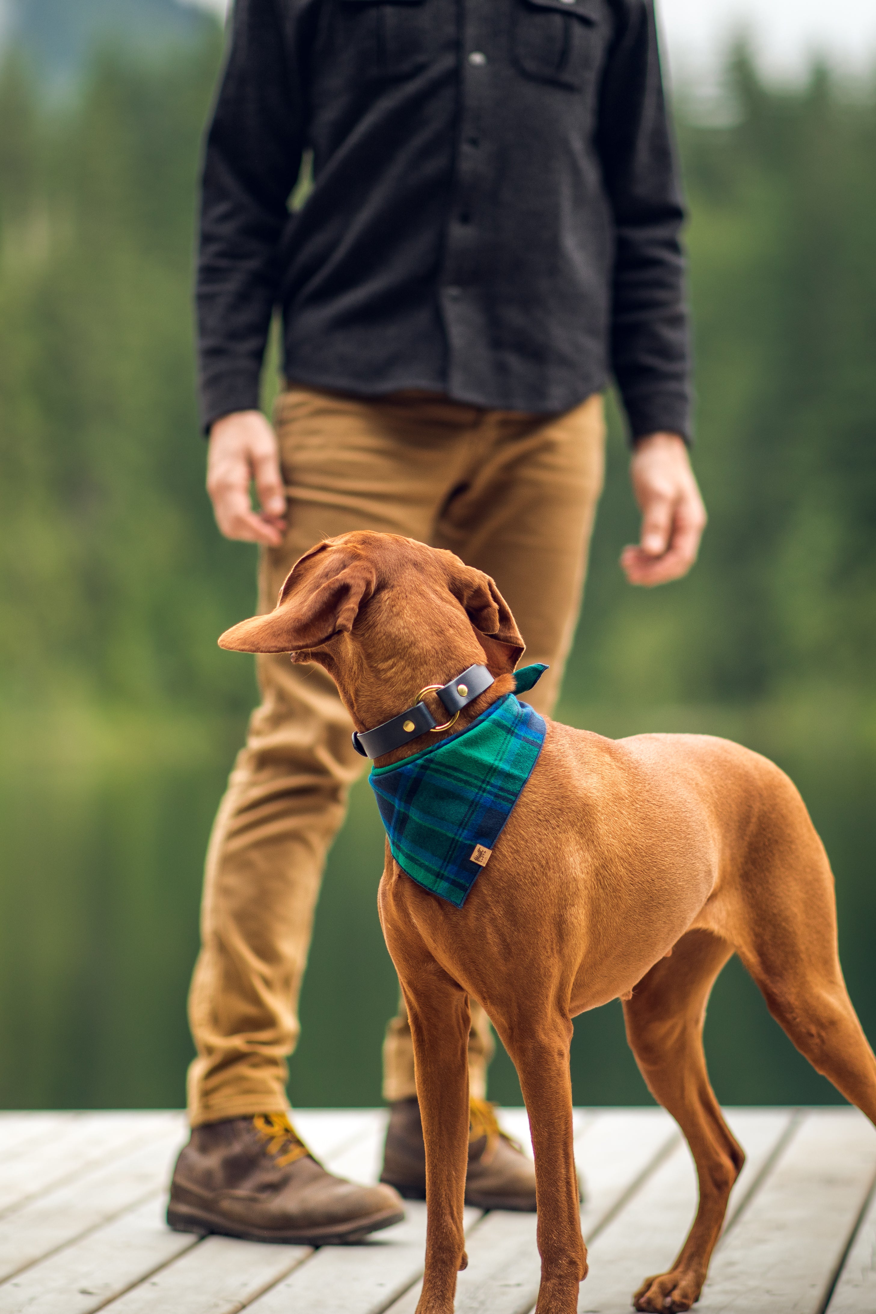 Center Ring Leather Buckle Collar