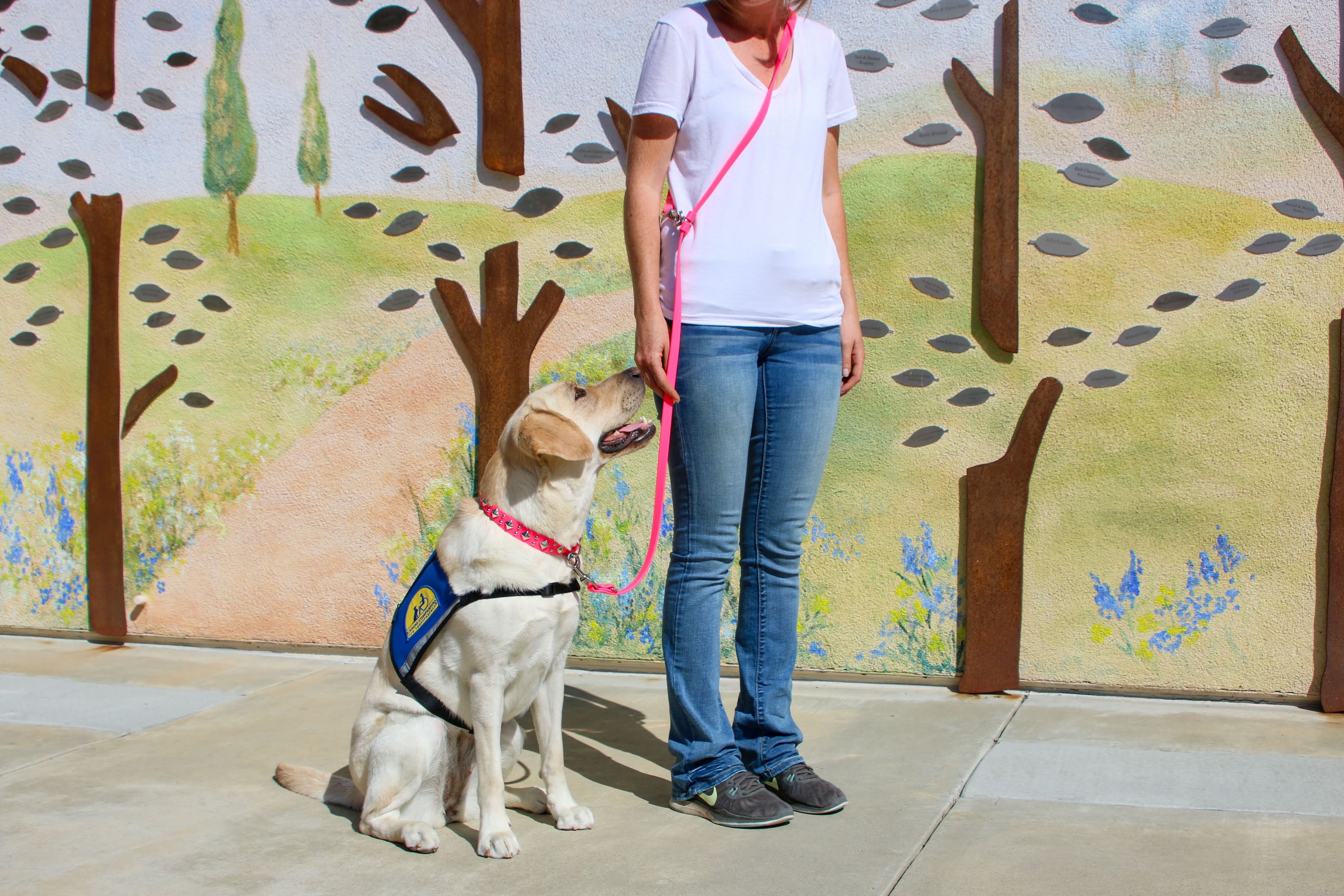 SimpleLead Multifunctional Leash