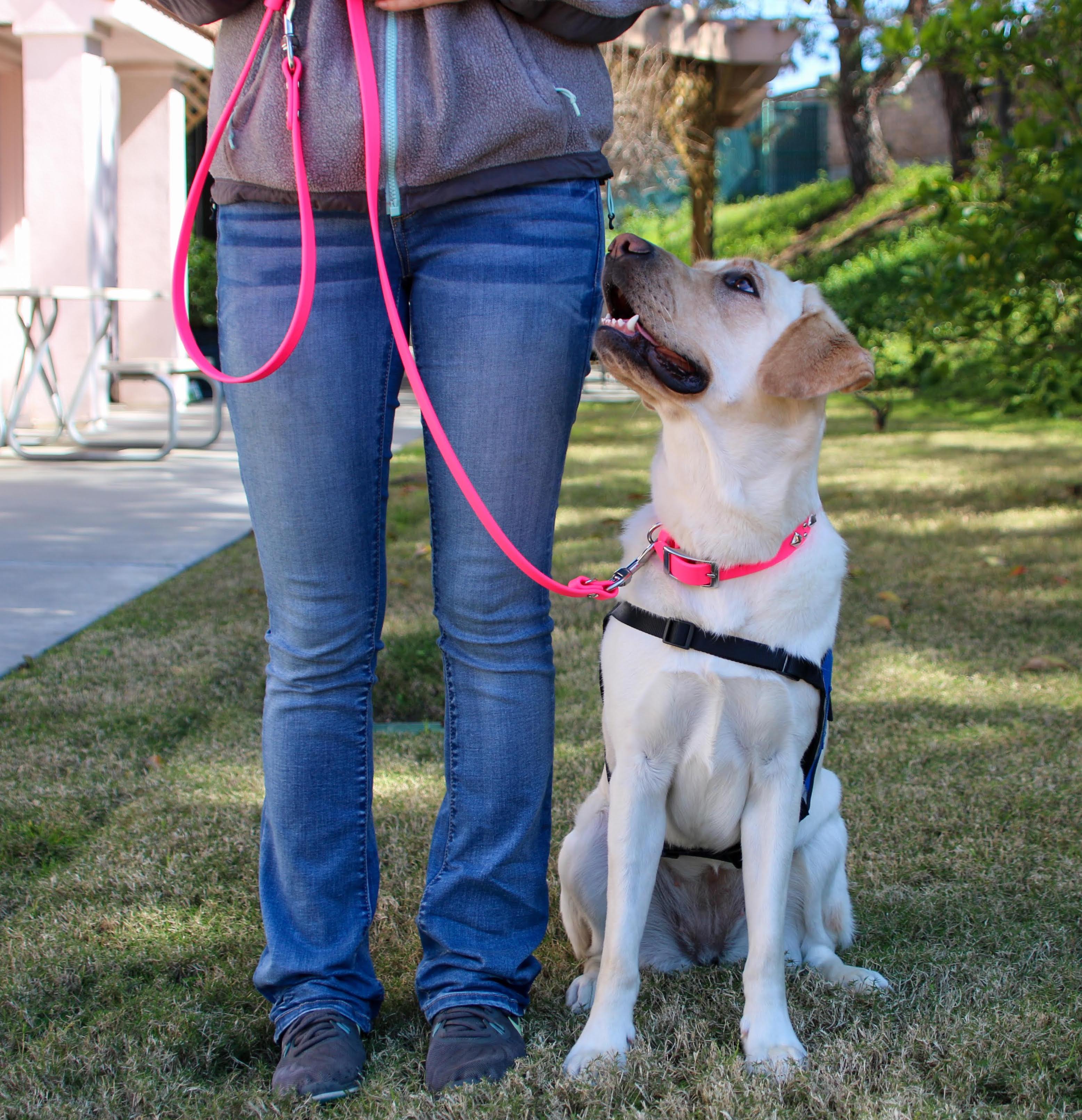 SimpleLead Multifunctional Leash
