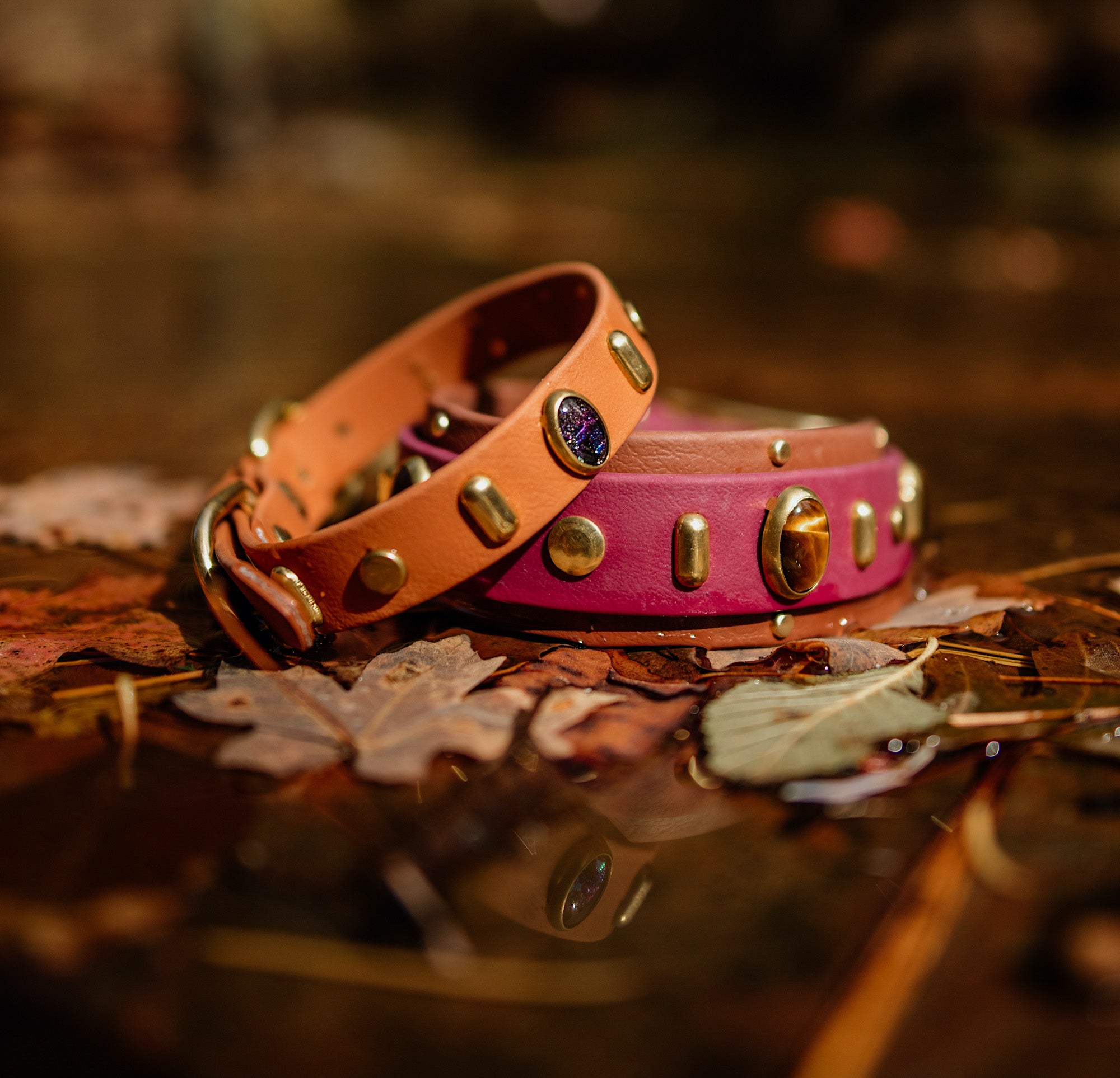 The 'Aphex' Collar