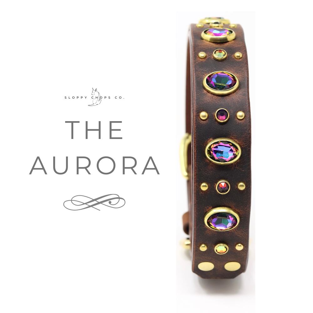 The 'Aurora' Leather Collar (1.25