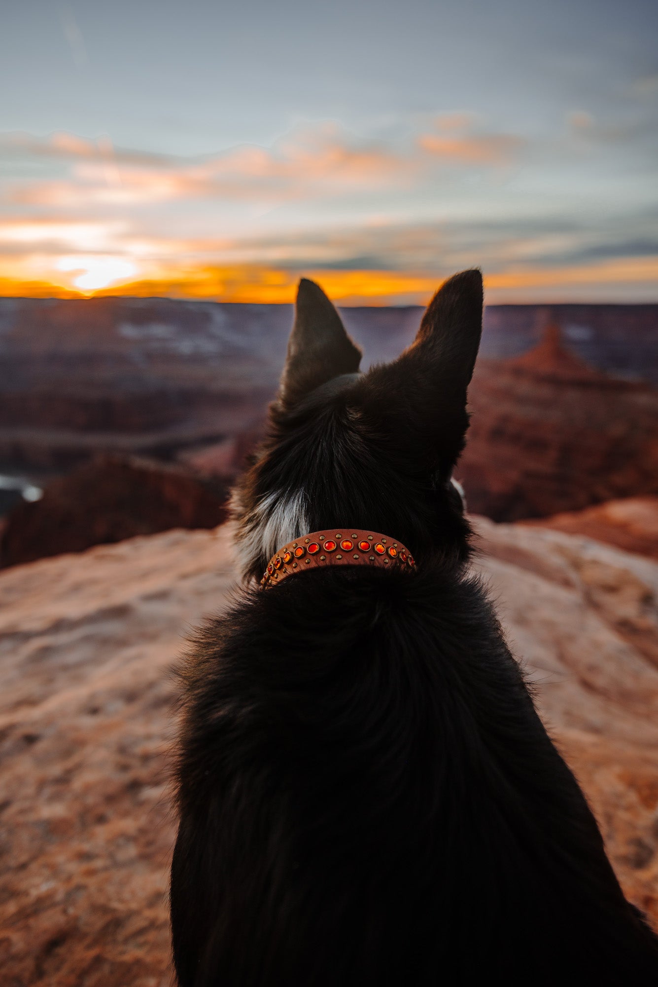 The 'Avalon'Collar