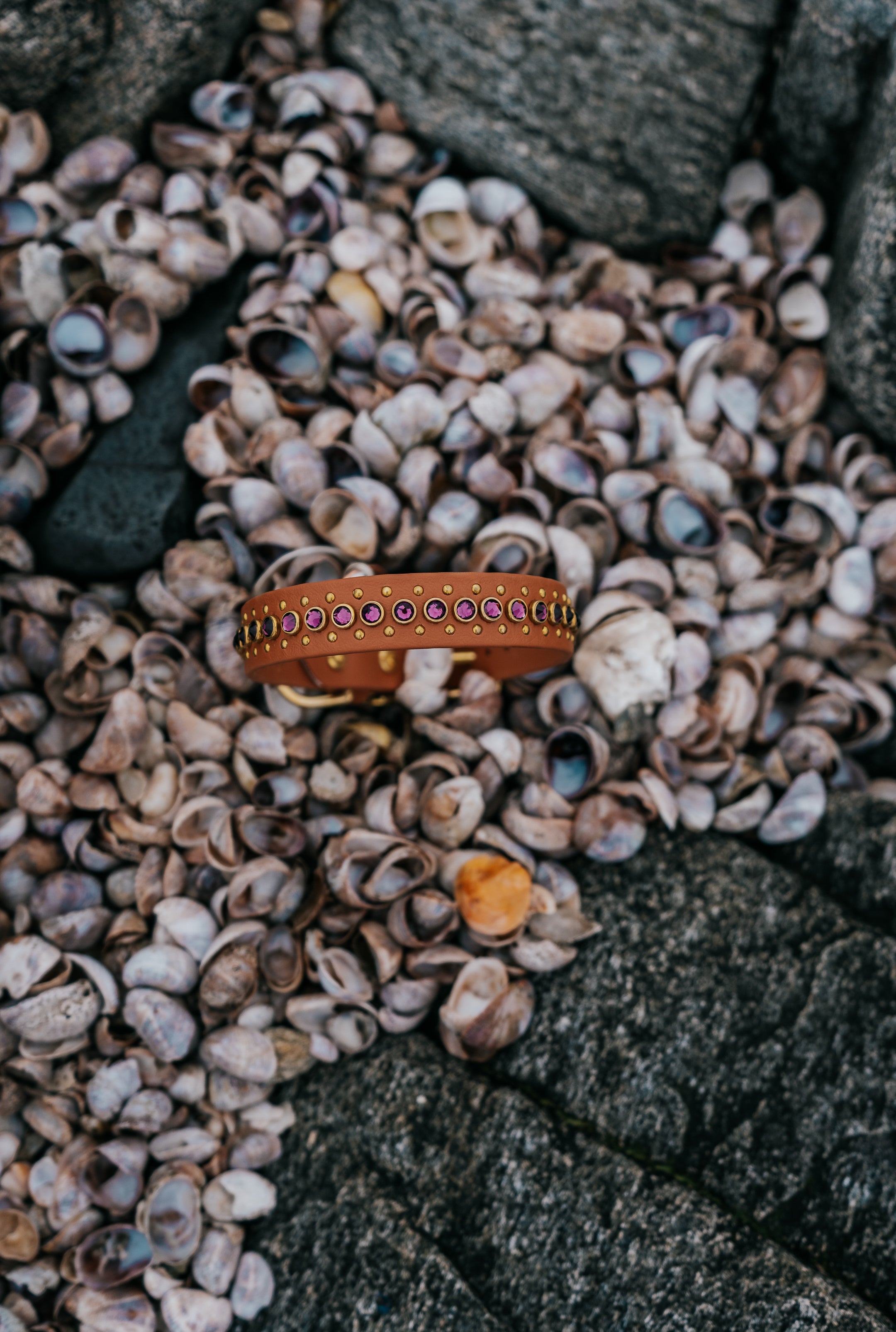 The 'Avalon'Collar