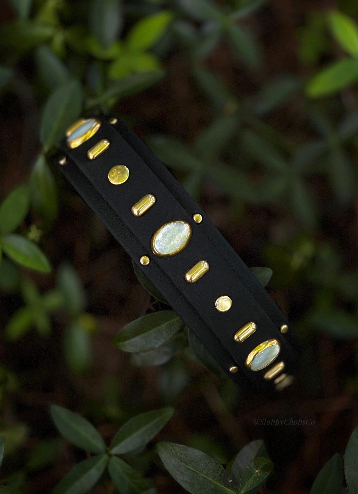 The 'Aphex' Collar