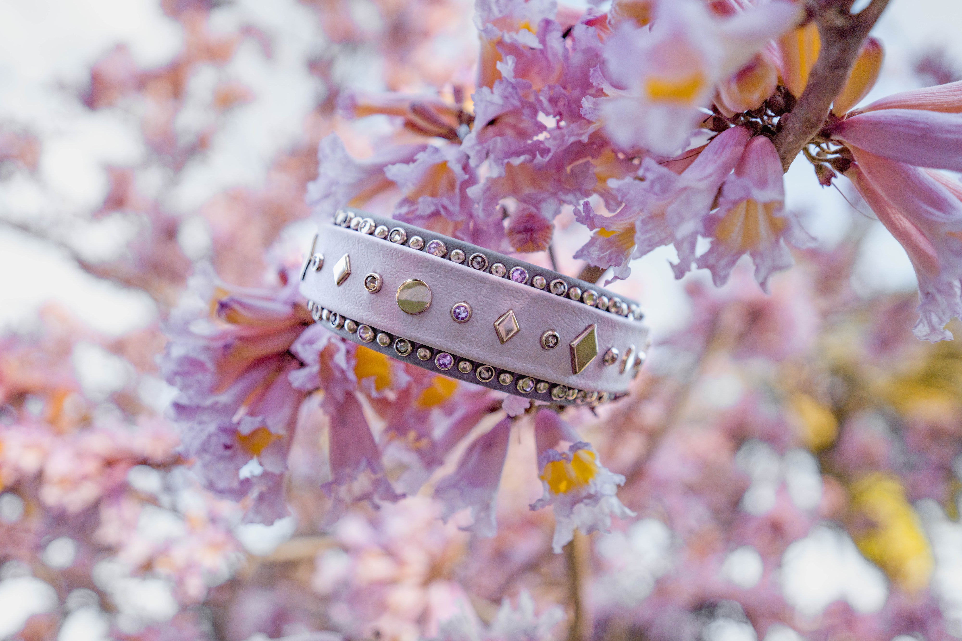 The 'Mantis' Collar