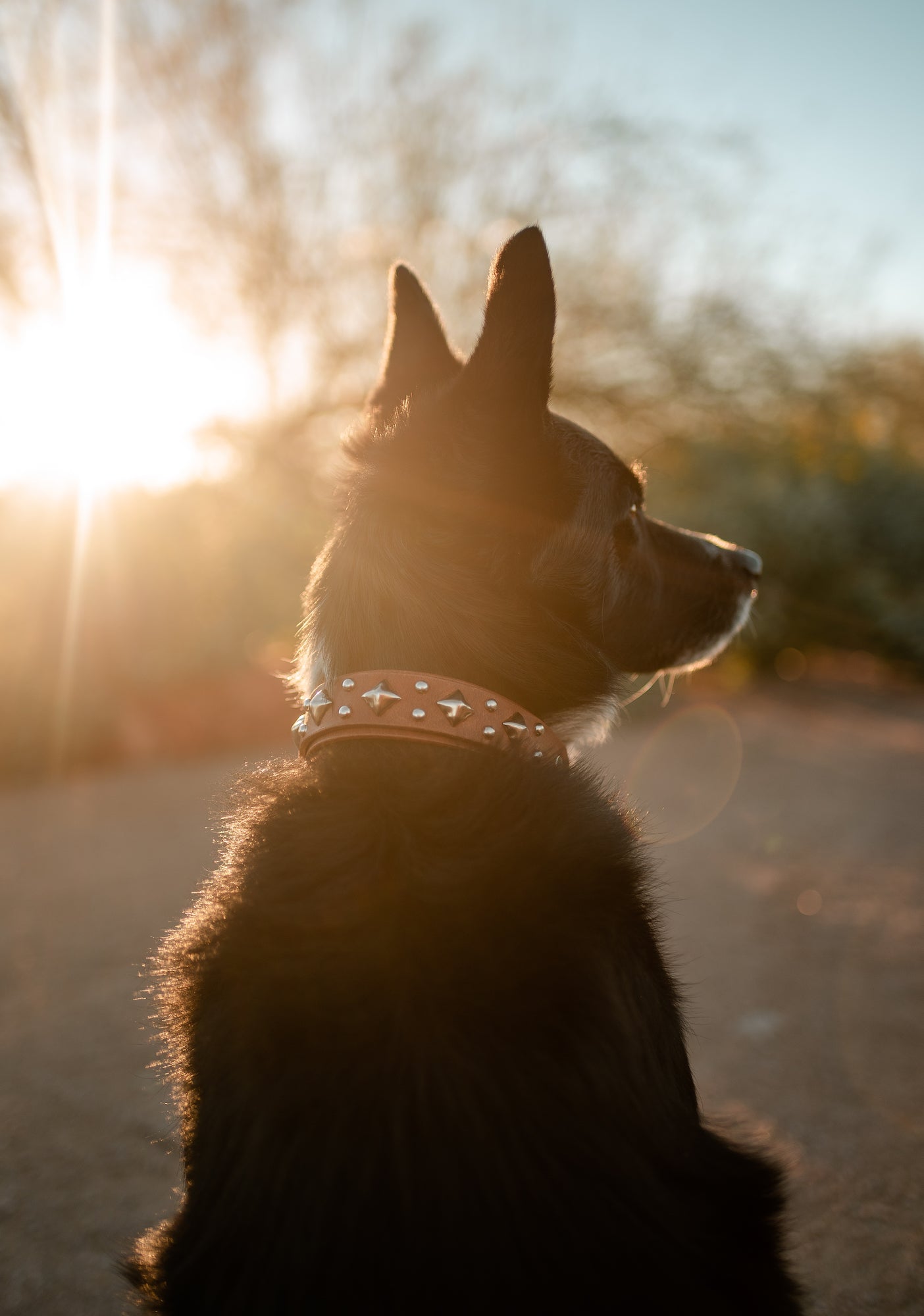 The 'Glacial Diamond' Leather Collar (1