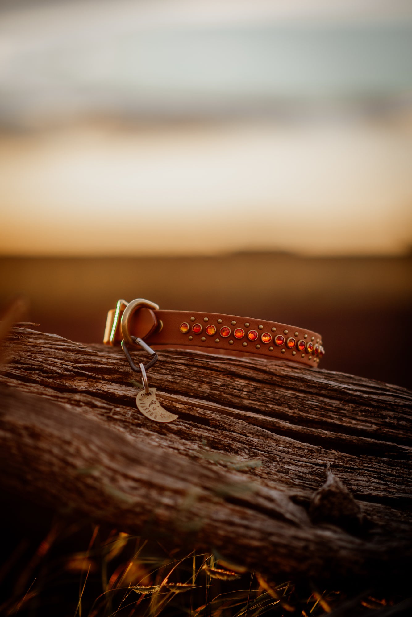 The 'Avalon'Collar