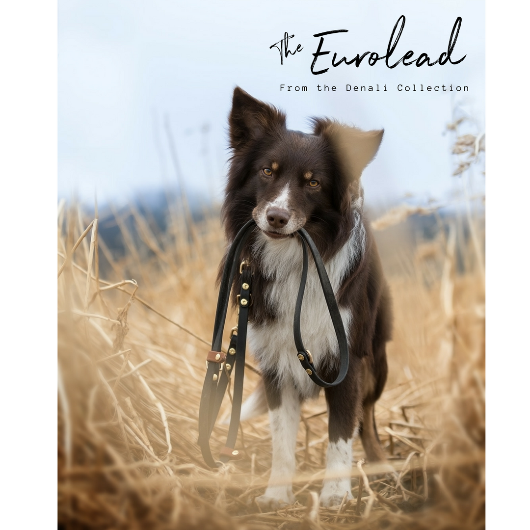 Handsfree Denali Eurolead (WHOLESALE - CASE OF 6)