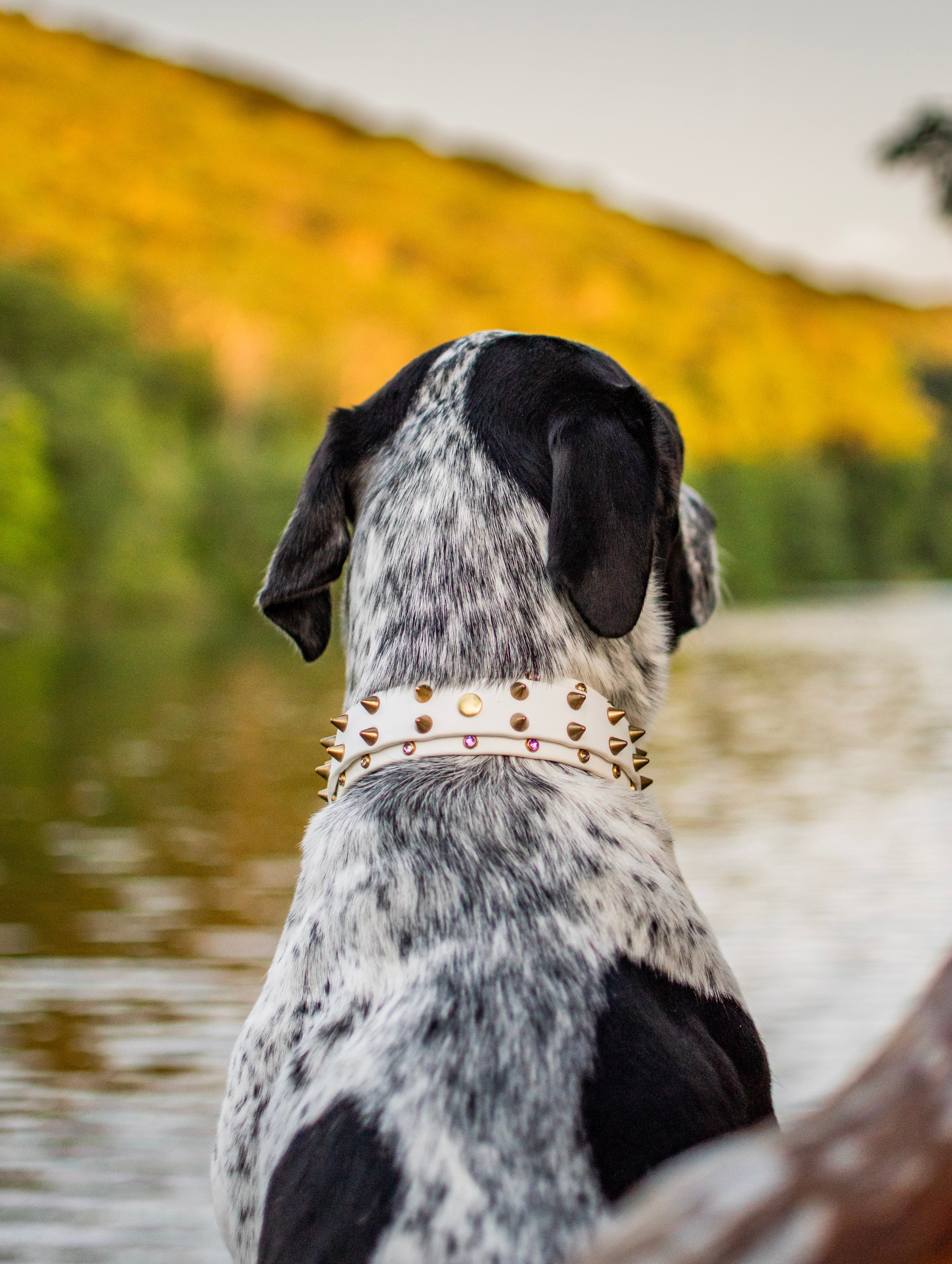The 'Sawtooth' Collar