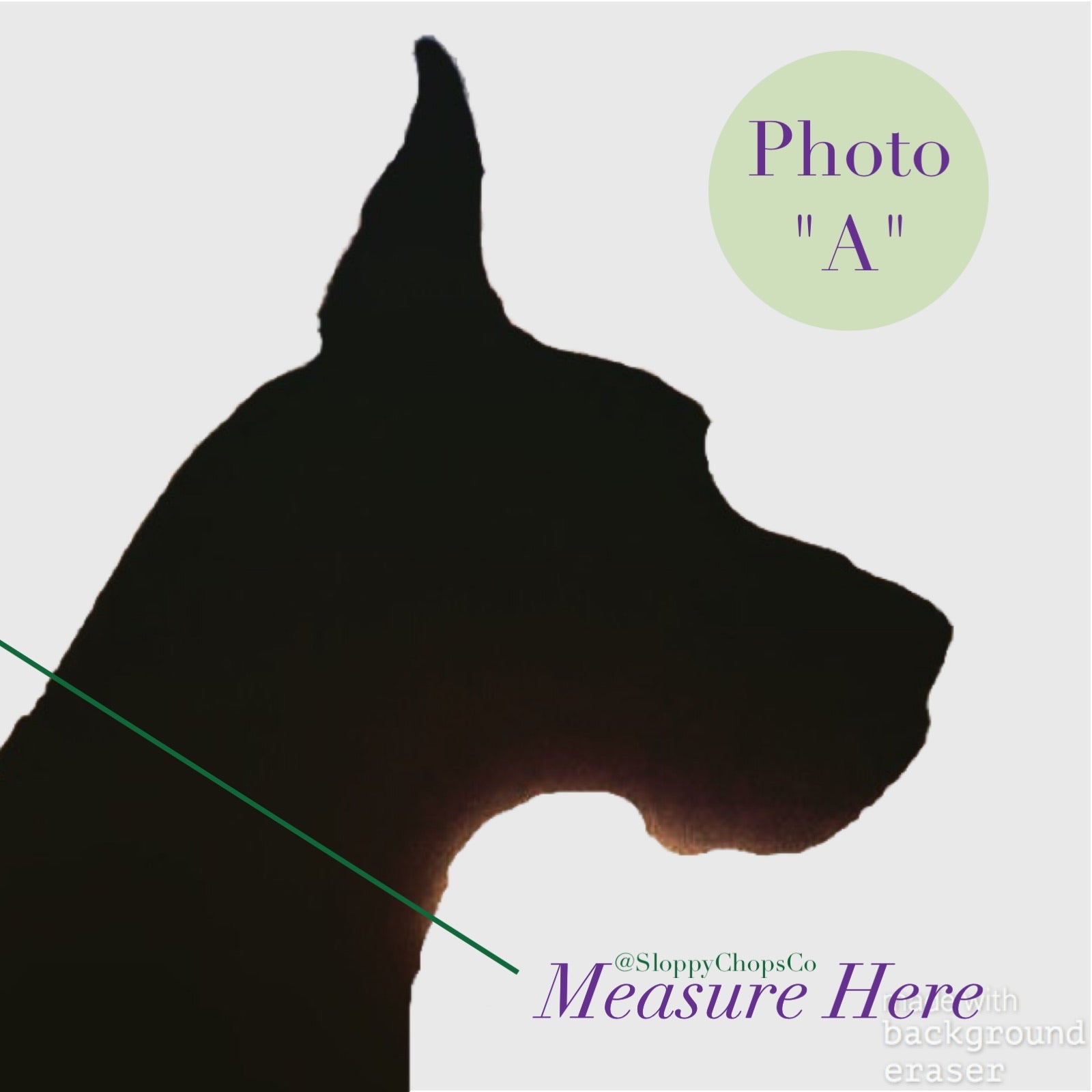 Denali Martingale Collar
