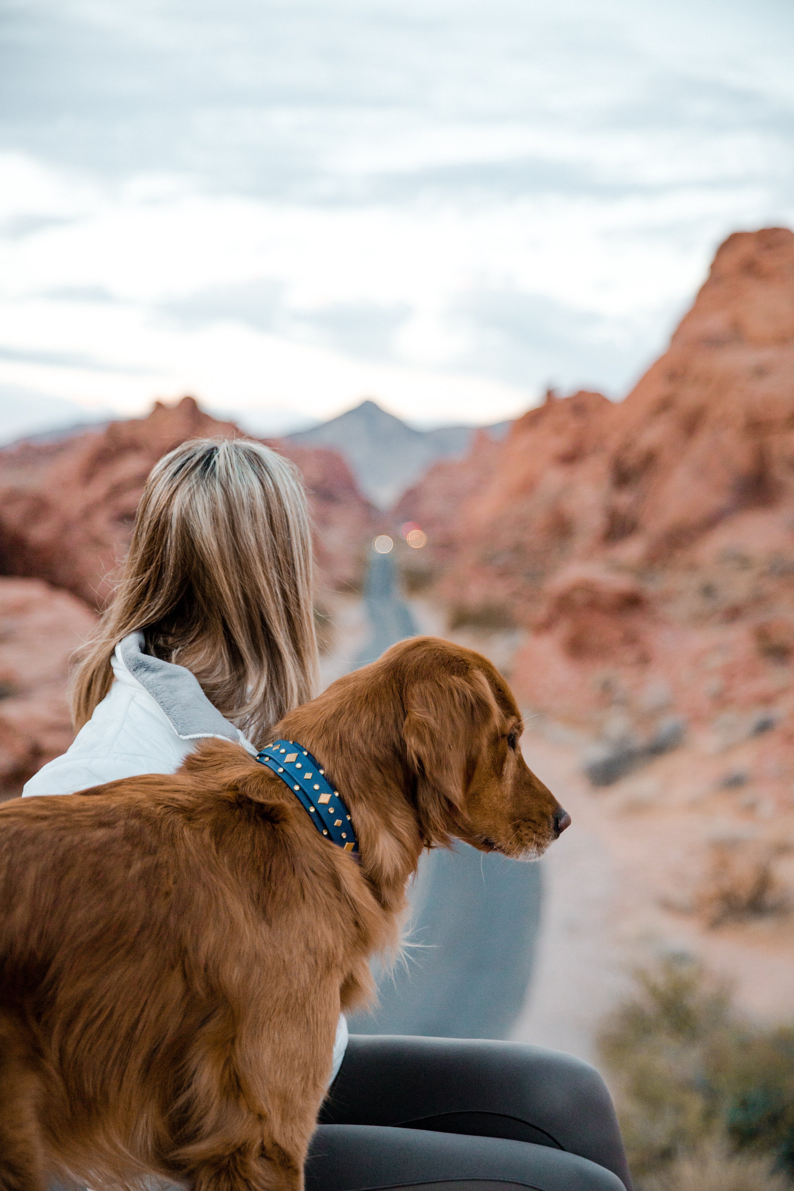 The 'Mantis' Collar