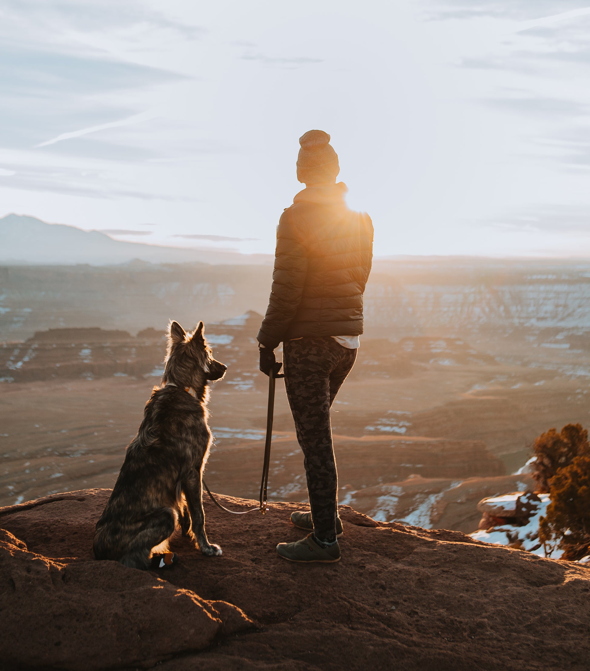 SimpleLead Multifunctional Leash