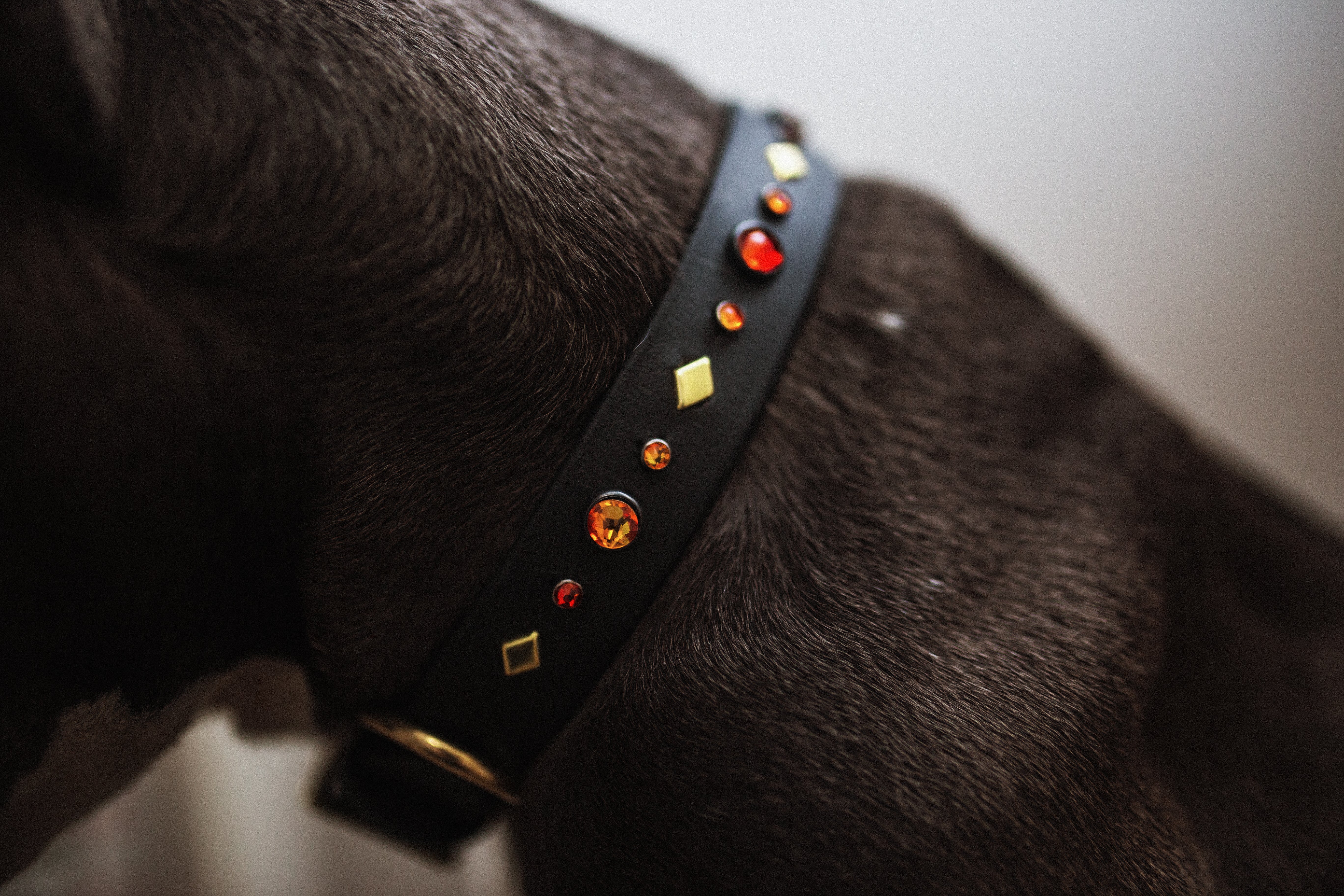 The 'Reina' Collar