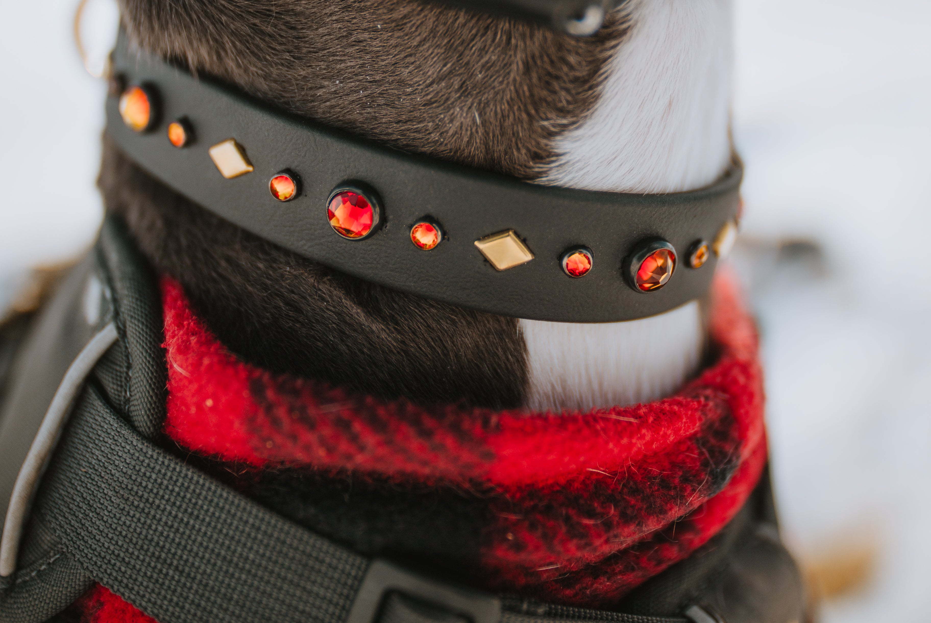 The 'Reina' Collar