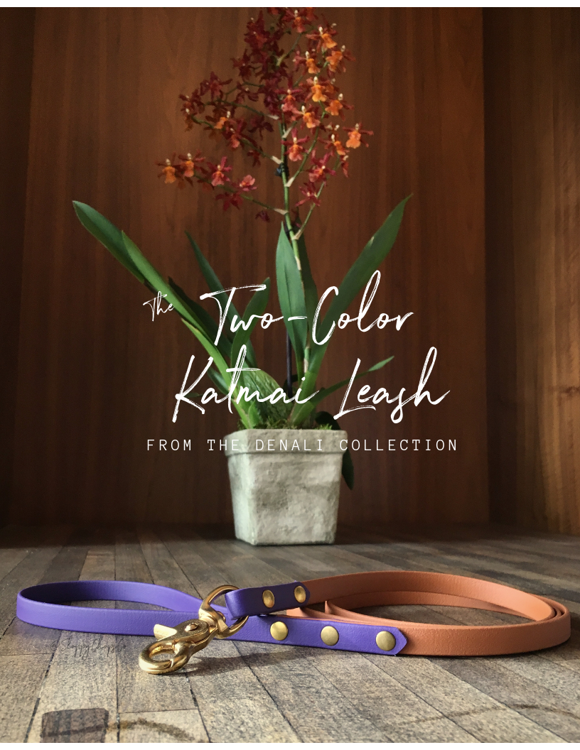 Two-Color Katmai Leash