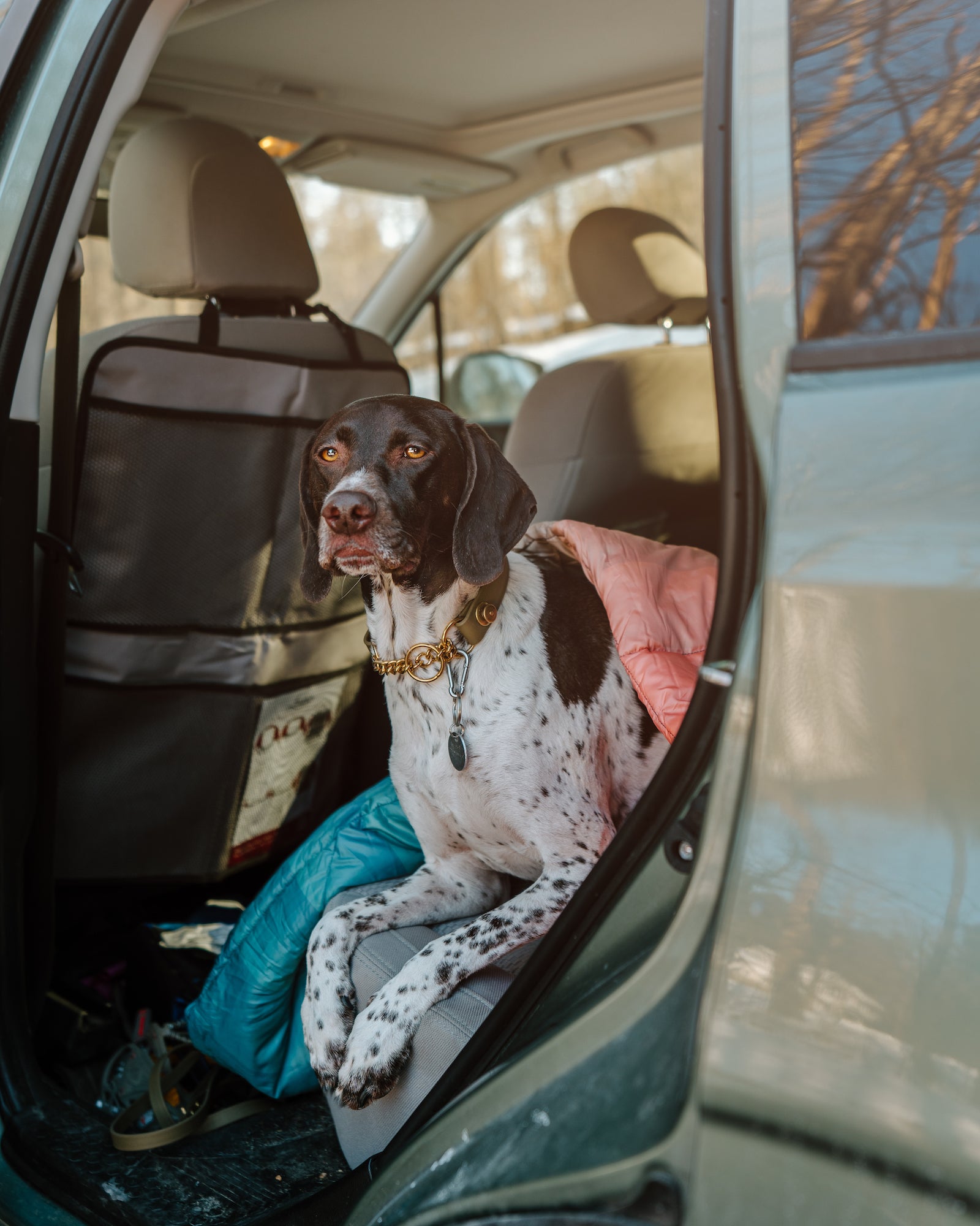 Denali Martingale Collar