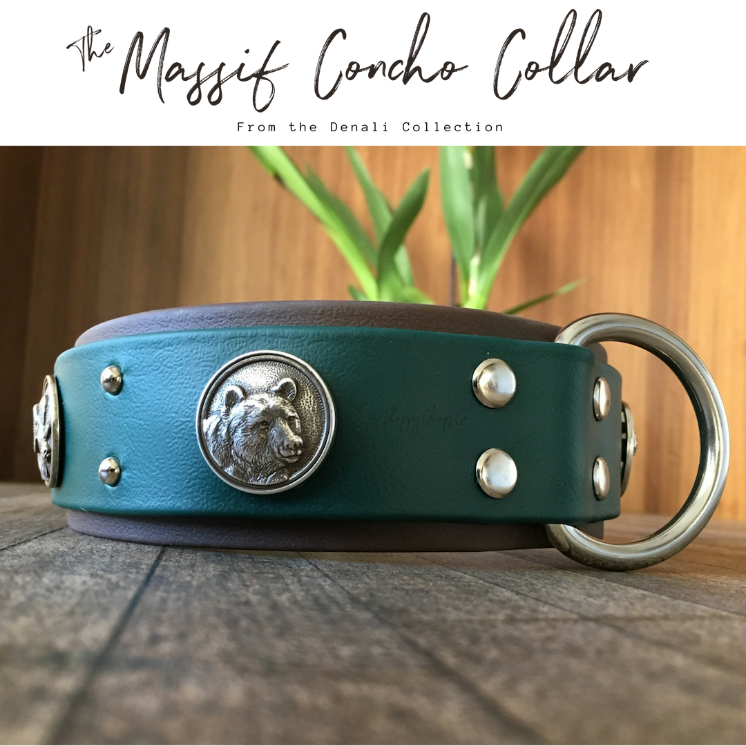'Massif Concho' Double Layer Collar