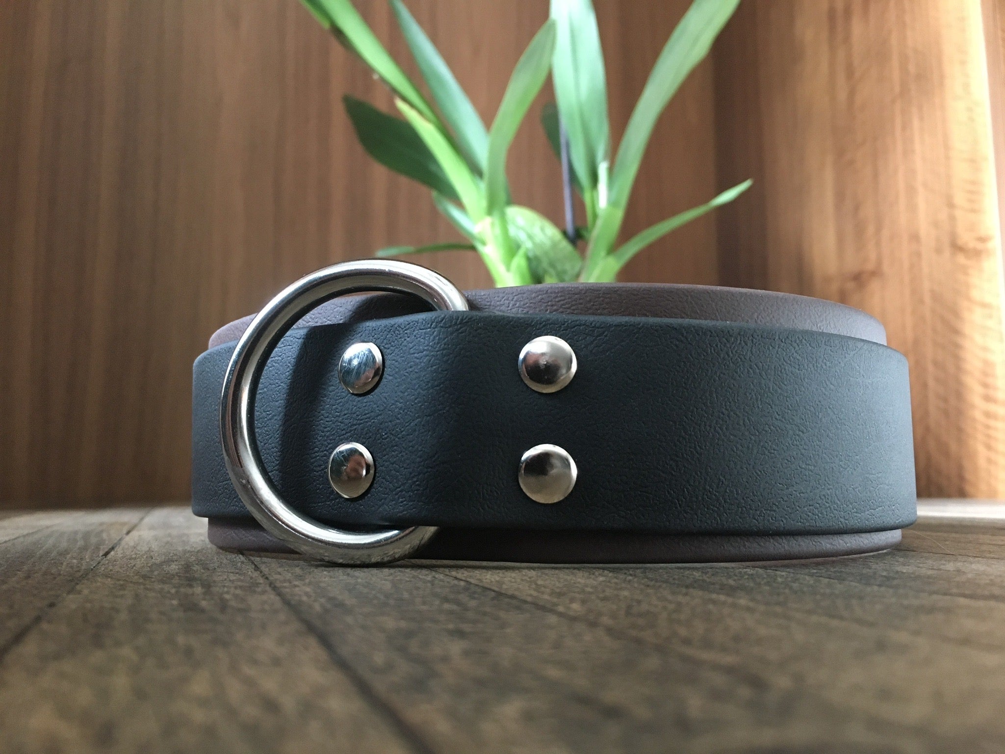 'Massif McKinley' Double Layer Collar