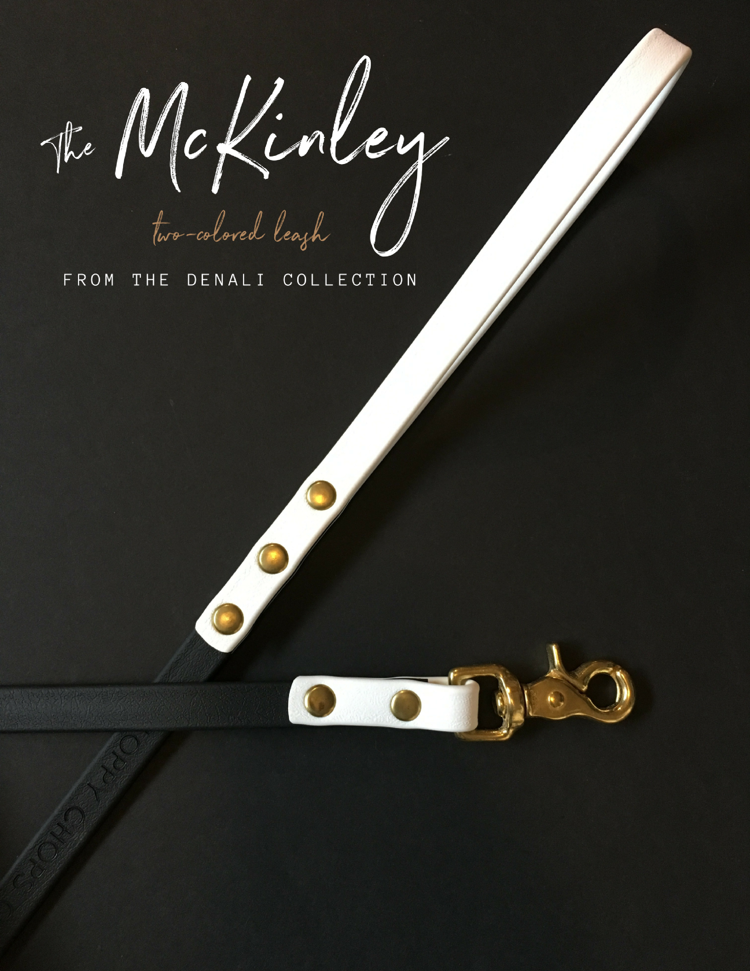 Two-Color McKinley Leash
