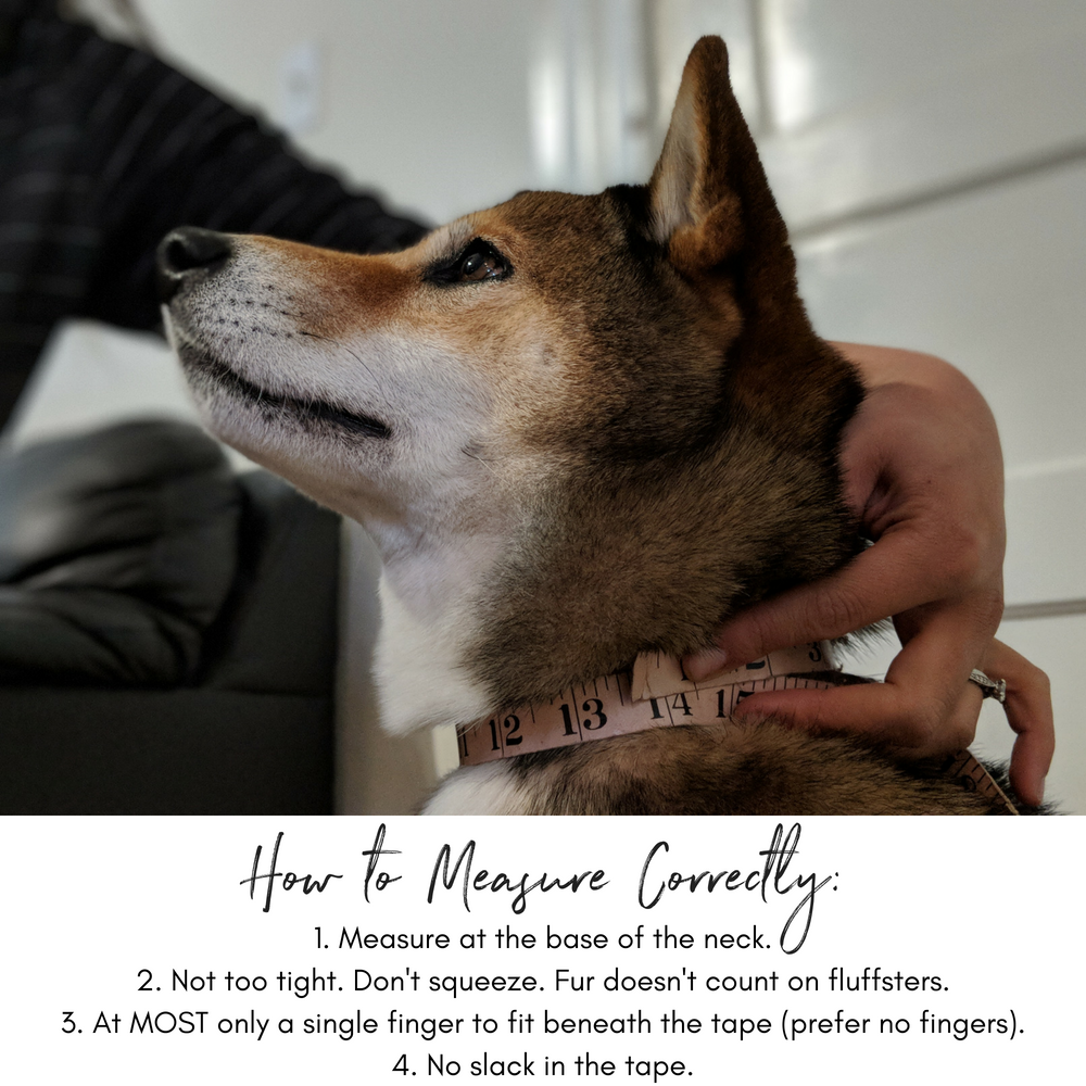 Martingale Upgrade